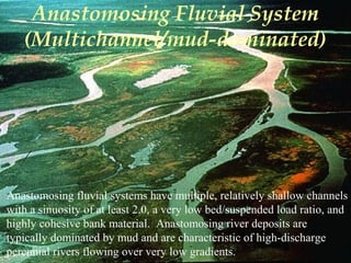 Anastomosing Fluvial System
(Multichannel/mud-dominated)
Anastomosing fluvial systems have multiple, relatively shallow channels
with a sinuosity of at least 2.0, a very low bed/suspended load ratio, and
highly cohesive bank material. Anastomosing river deposits are
typically dominated by mud and are characteristic of high-discharge
perennial rivers flowing over very low gradients.
 