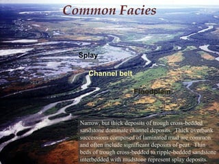 Anastomosing Fluvial Systems | PPT