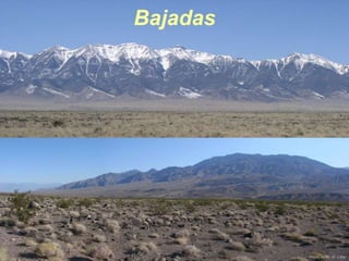 Photo by W. W. Little
Bajadas
Photo by W. W. Little
 