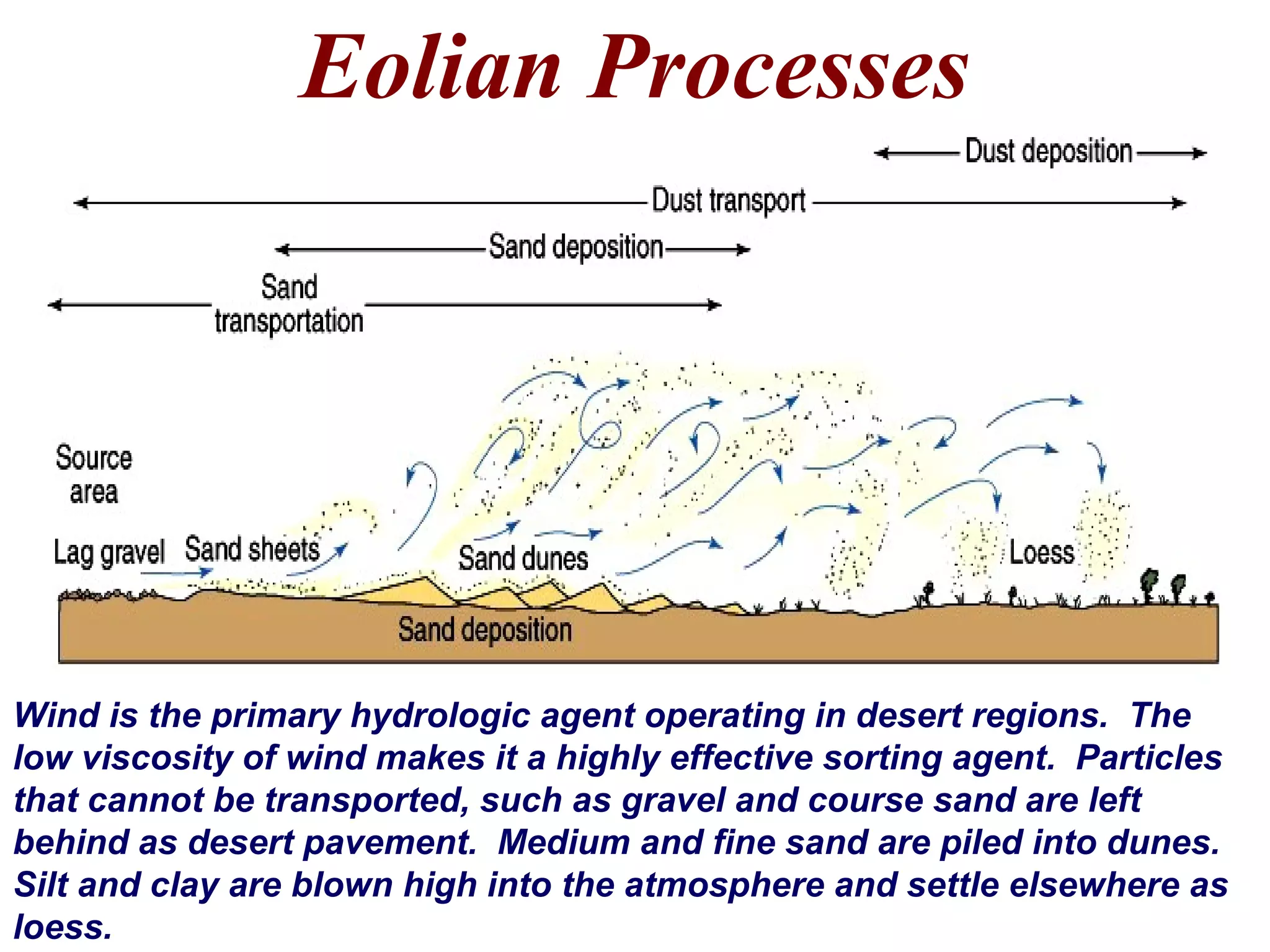 Eolian Processes
Wind is the primary hydrologic agent operating in desert regions. The
low viscosity of wind makes it a highly effective sorting agent. Particles
that cannot be transported, such as gravel and course sand are left
behind as desert pavement. Medium and fine sand are piled into dunes.
Silt and clay are blown high into the atmosphere and settle elsewhere as
loess.
 