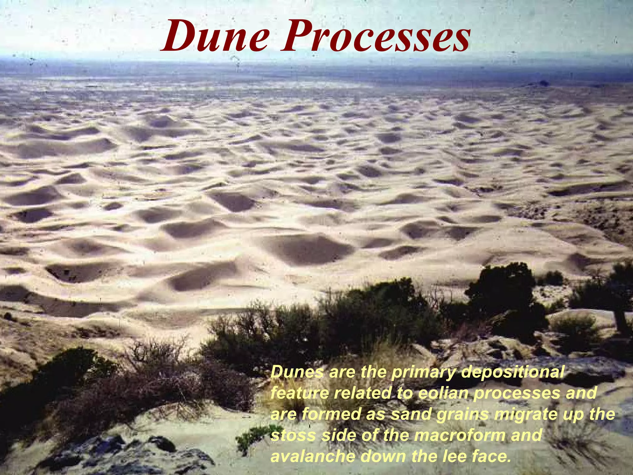 Dune Processes
Dunes are the primary depositional
feature related to eolian processes and
are formed as sand grains migrate up the
stoss side of the macroform and
avalanche down the lee face.
 