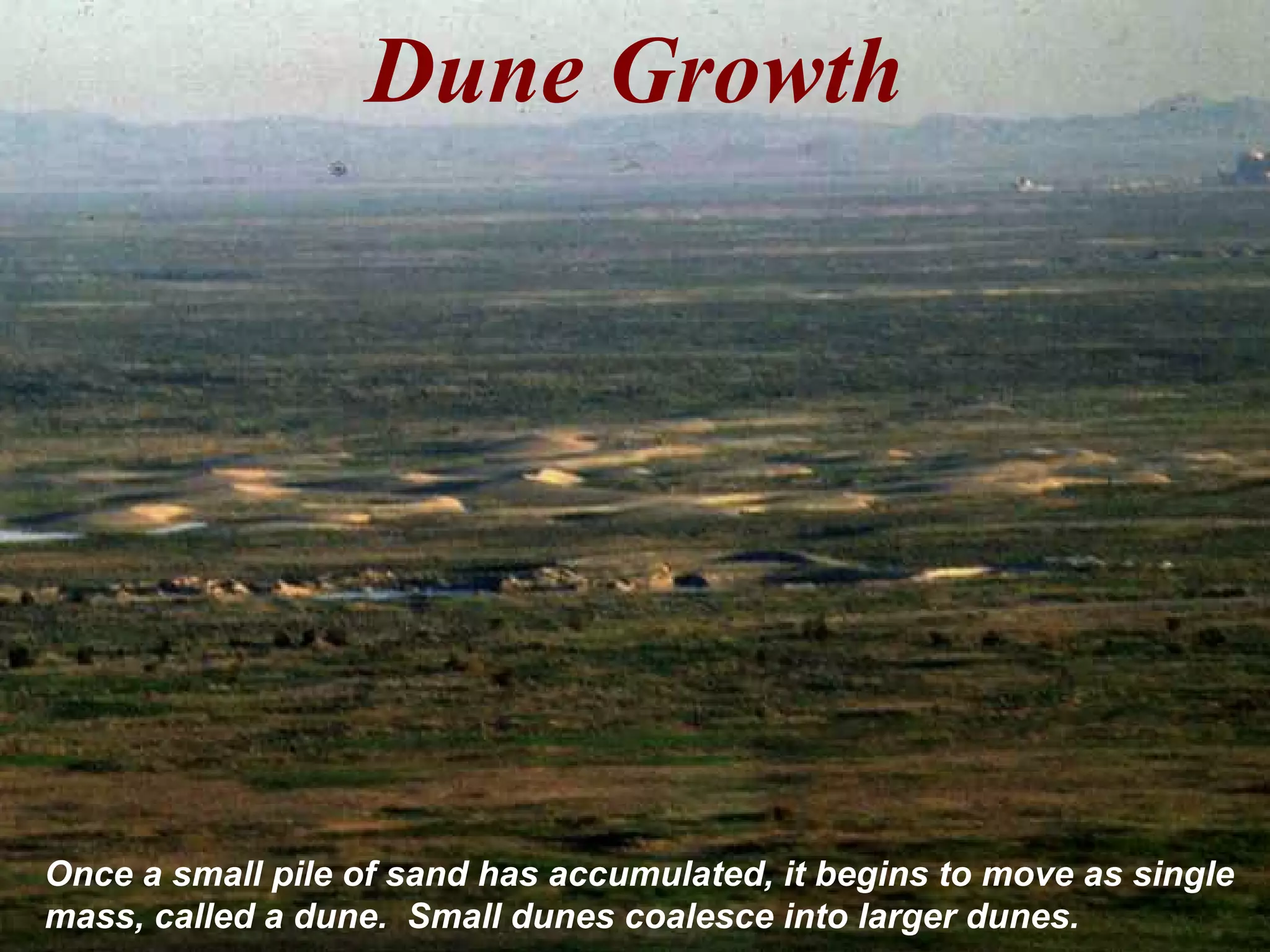 Dune Growth
Once a small pile of sand has accumulated, it begins to move as single
mass, called a dune. Small dunes coalesce into larger dunes.
 