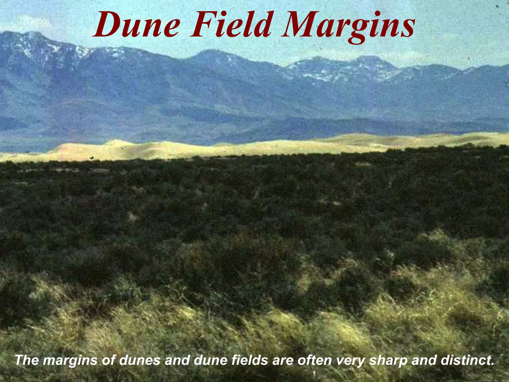 Dune Field Margins
The margins of dunes and dune fields are often very sharp and distinct.
 