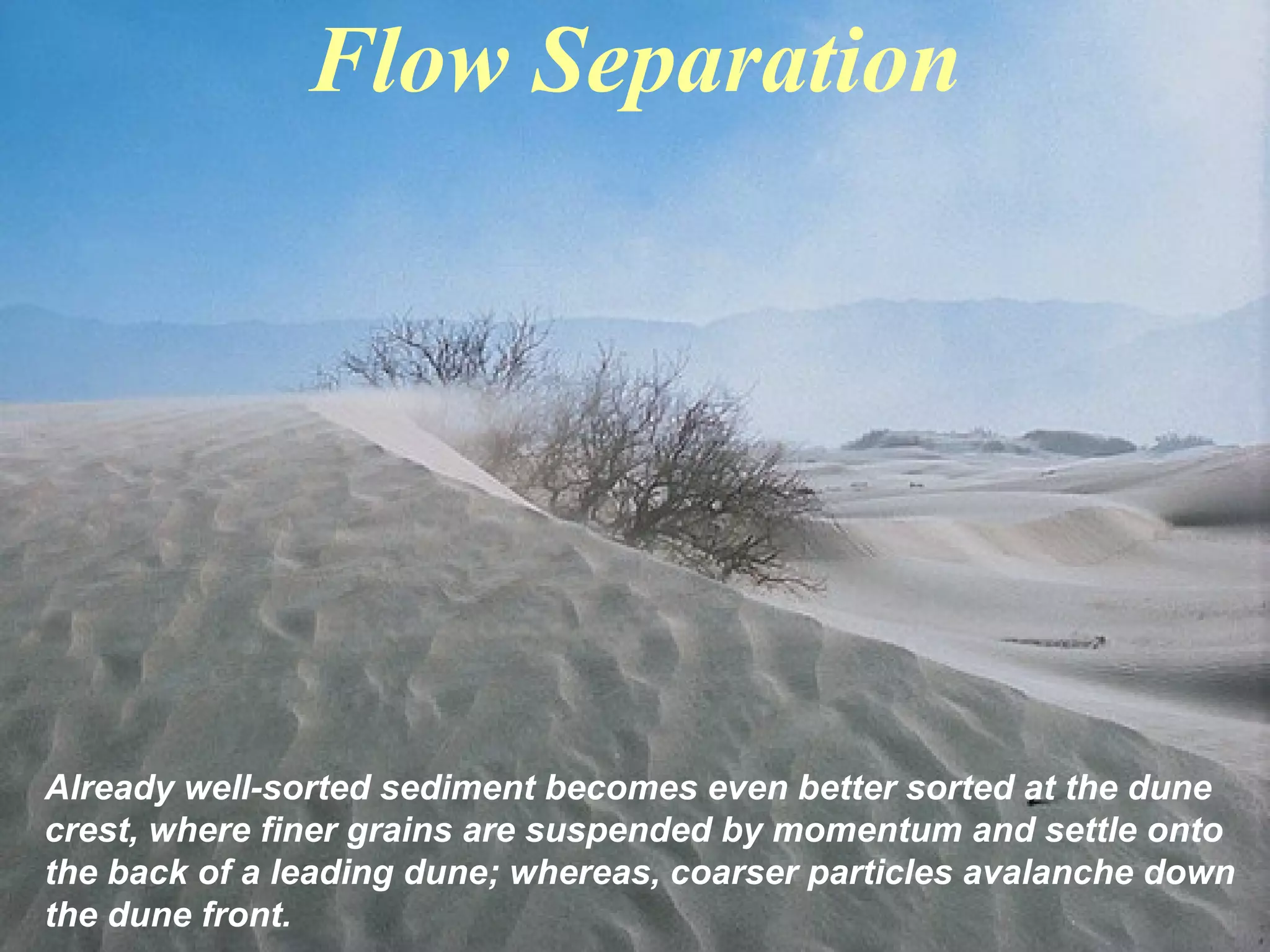 Flow Separation
Already well-sorted sediment becomes even better sorted at the dune
crest, where finer grains are suspended by momentum and settle onto
the back of a leading dune; whereas, coarser particles avalanche down
the dune front.
 