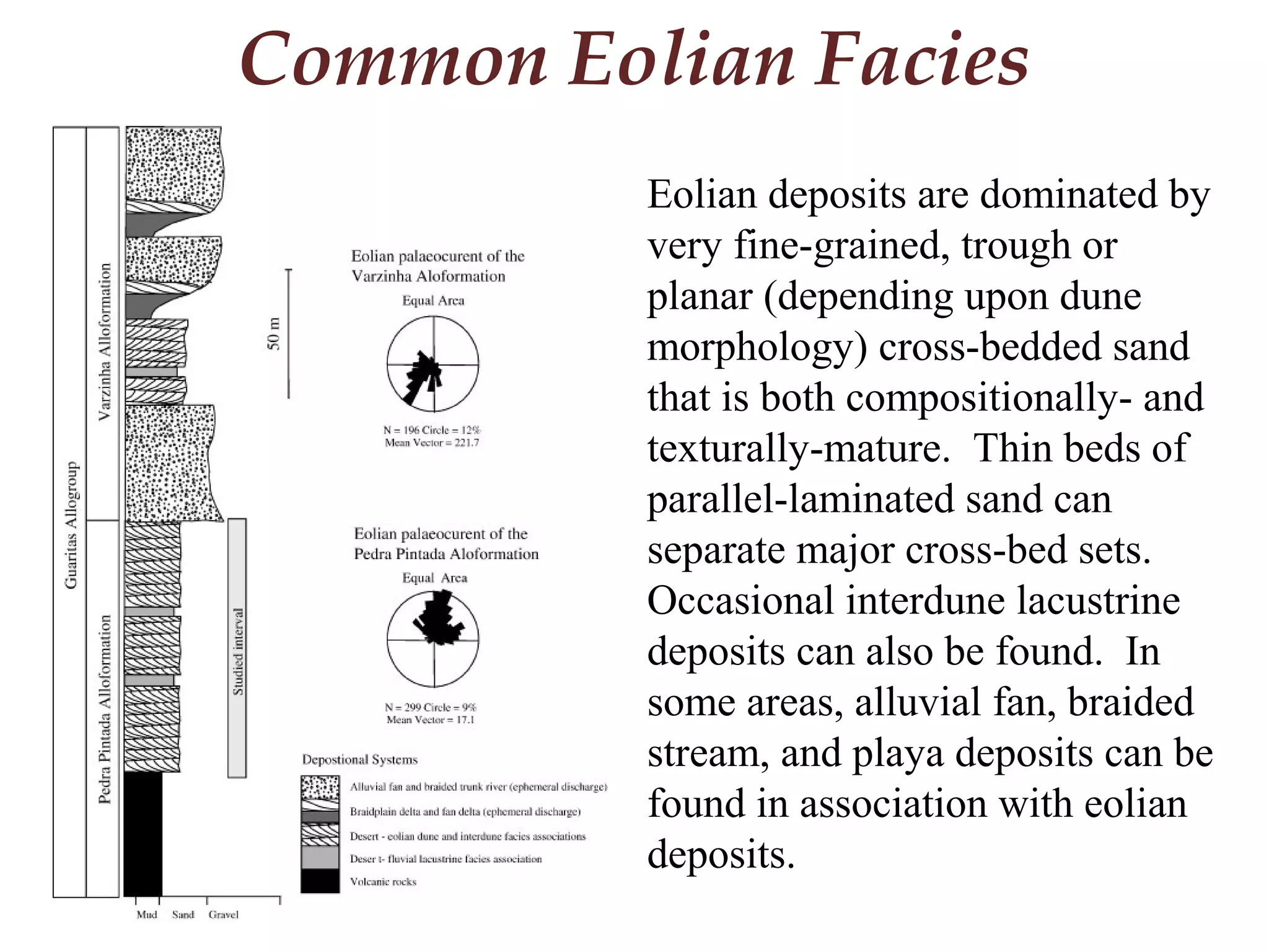 Common Eolian Facies
Eolian deposits are dominated by
very fine-grained, trough or
planar (depending upon dune
morphology) cross-bedded sand
that is both compositionally- and
texturally-mature. Thin beds of
parallel-laminated sand can
separate major cross-bed sets.
Occasional interdune lacustrine
deposits can also be found. In
some areas, alluvial fan, braided
stream, and playa deposits can be
found in association with eolian
deposits.
 