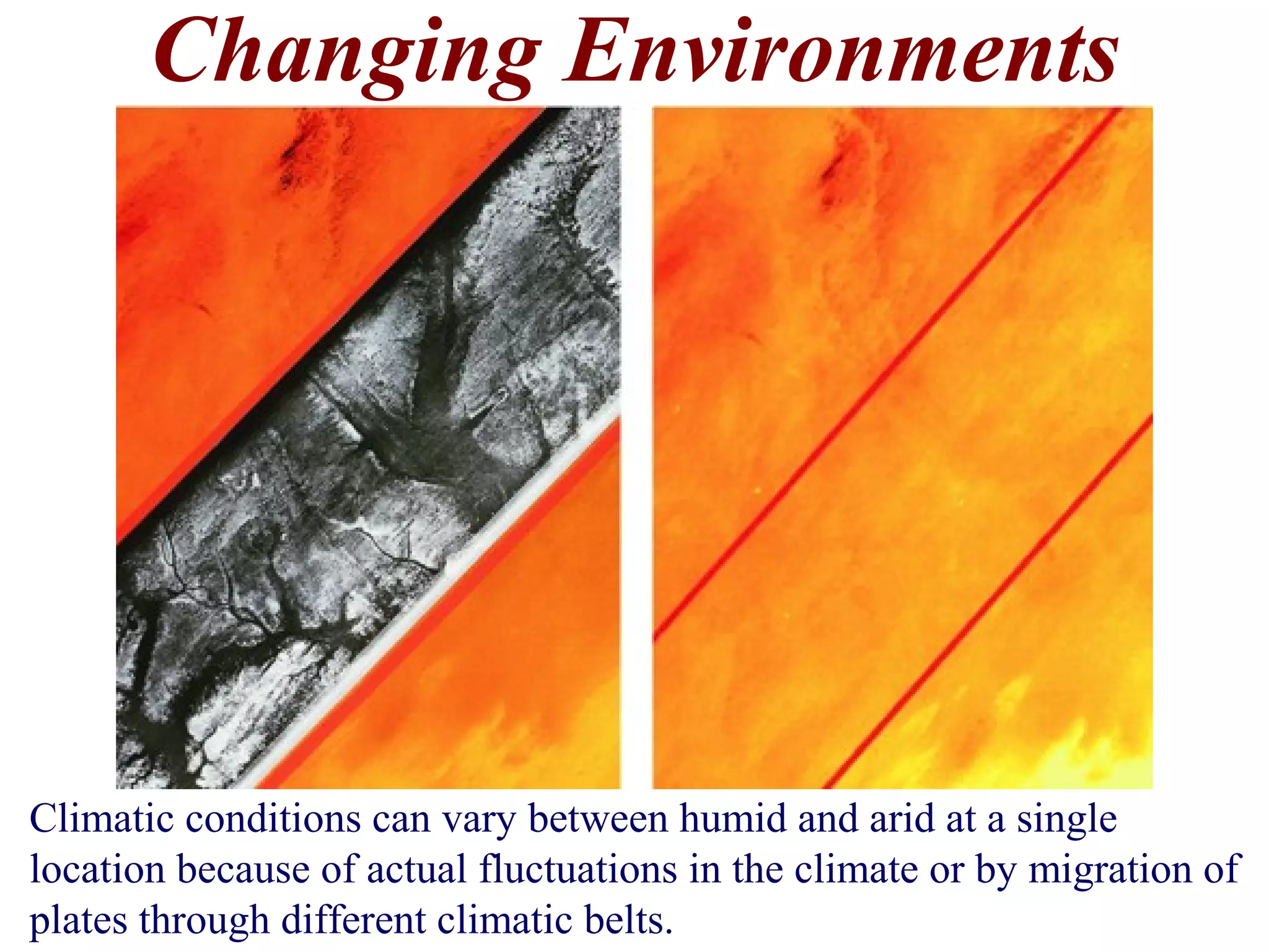 Changing Environments
Climatic conditions can vary between humid and arid at a single
location because of actual fluctuations in the climate or by migration of
plates through different climatic belts.
 