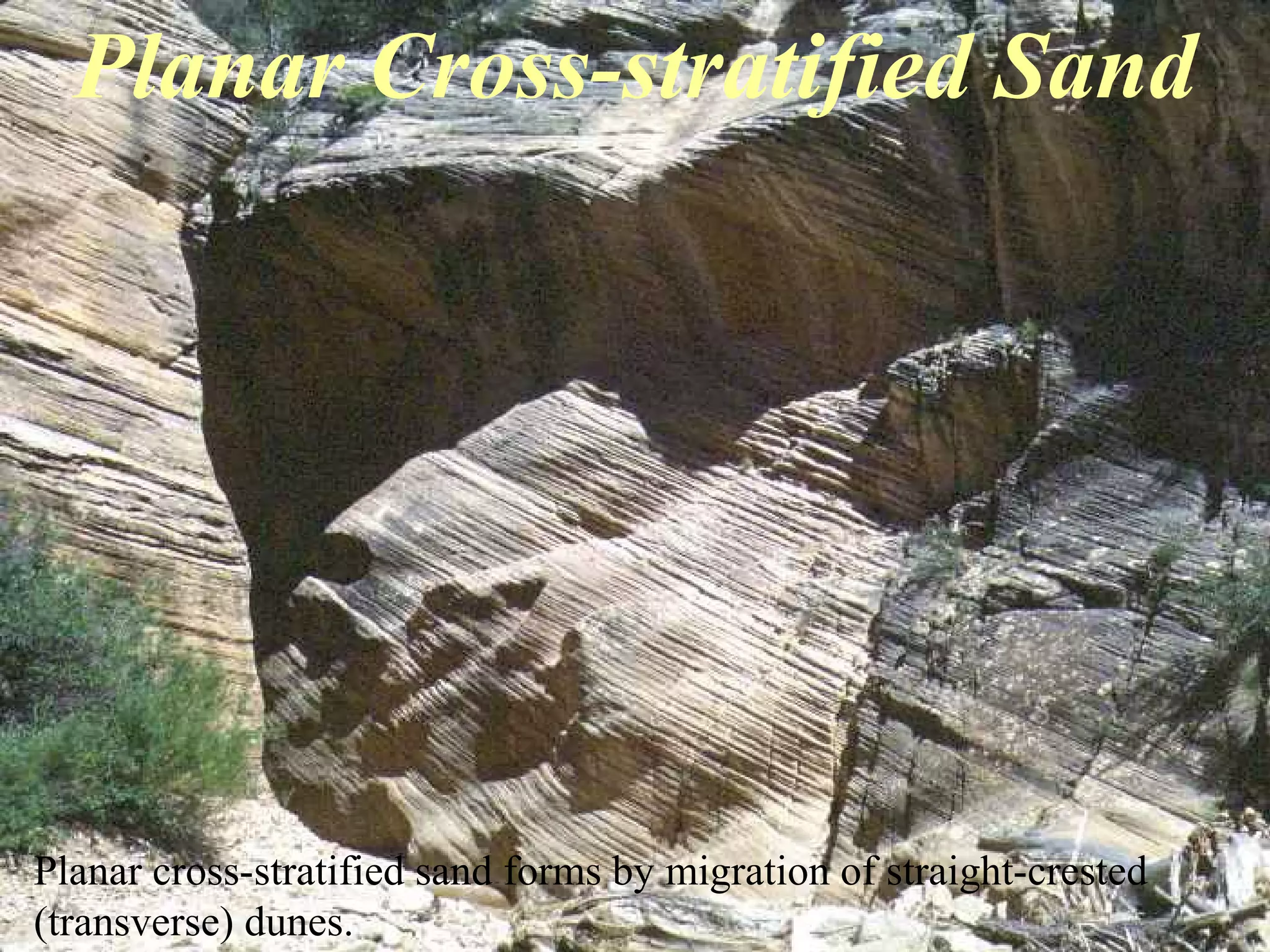 Planar Cross-stratified Sand
Planar cross-stratified sand forms by migration of straight-crested
(transverse) dunes.
 