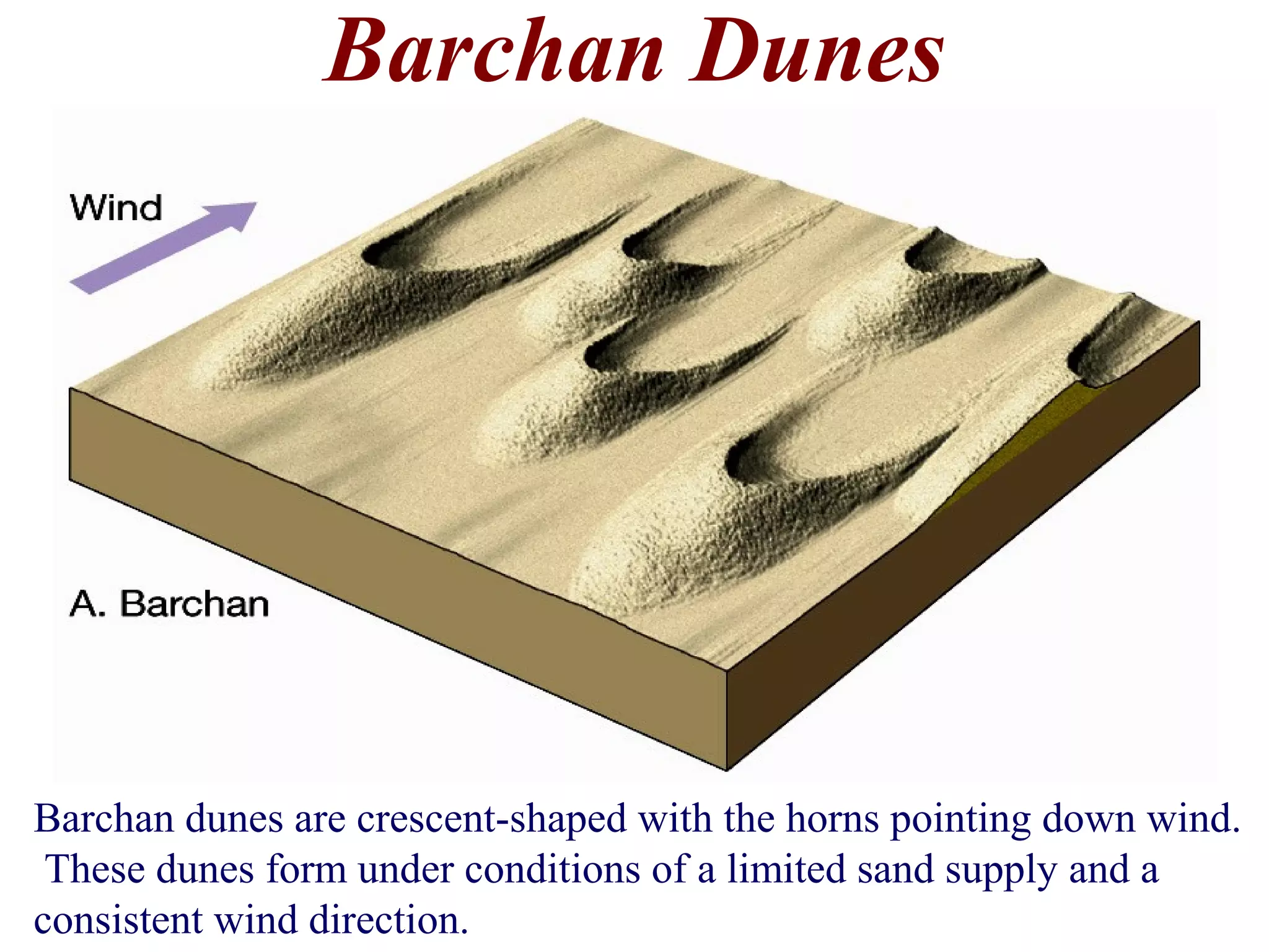 Barchan Dunes
Barchan dunes are crescent-shaped with the horns pointing down wind.
These dunes form under conditions of a limited sand supply and a
consistent wind direction.
 