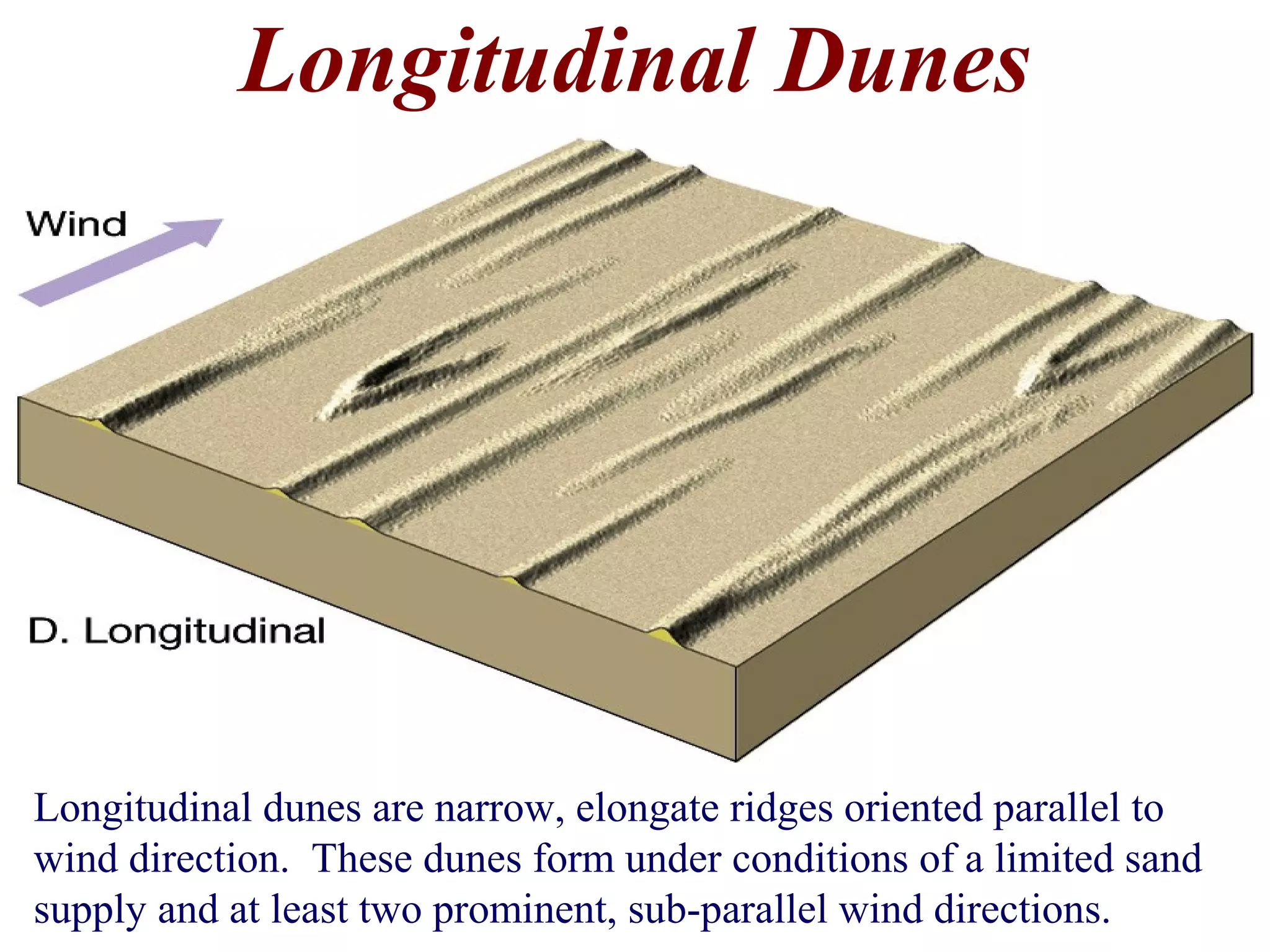 Longitudinal Dunes
Longitudinal dunes are narrow, elongate ridges oriented parallel to
wind direction. These dunes form under conditions of a limited sand
supply and at least two prominent, sub-parallel wind directions.
 