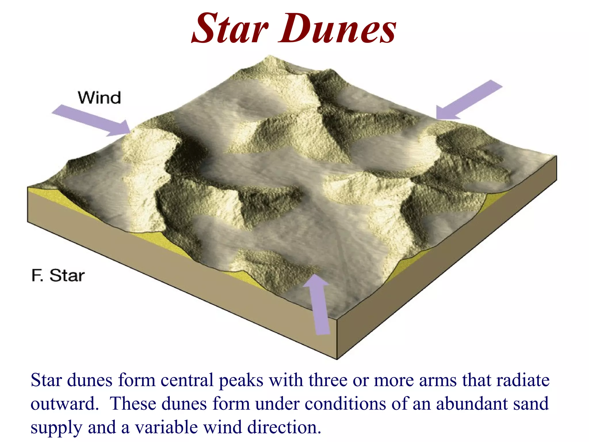 Star Dunes
Star dunes form central peaks with three or more arms that radiate
outward. These dunes form under conditions of an abundant sand
supply and a variable wind direction.
 