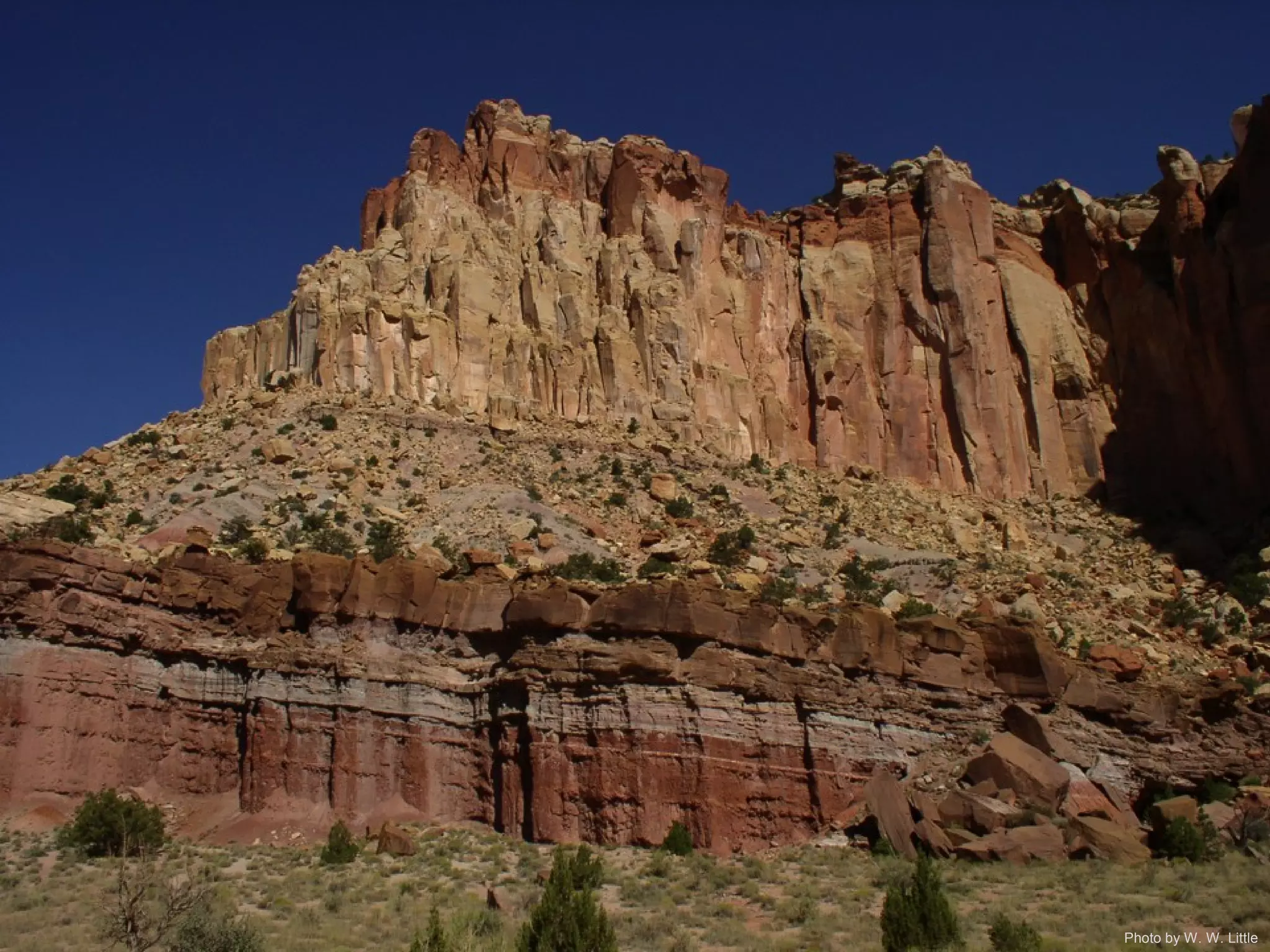 Photo by W. W. Little
 