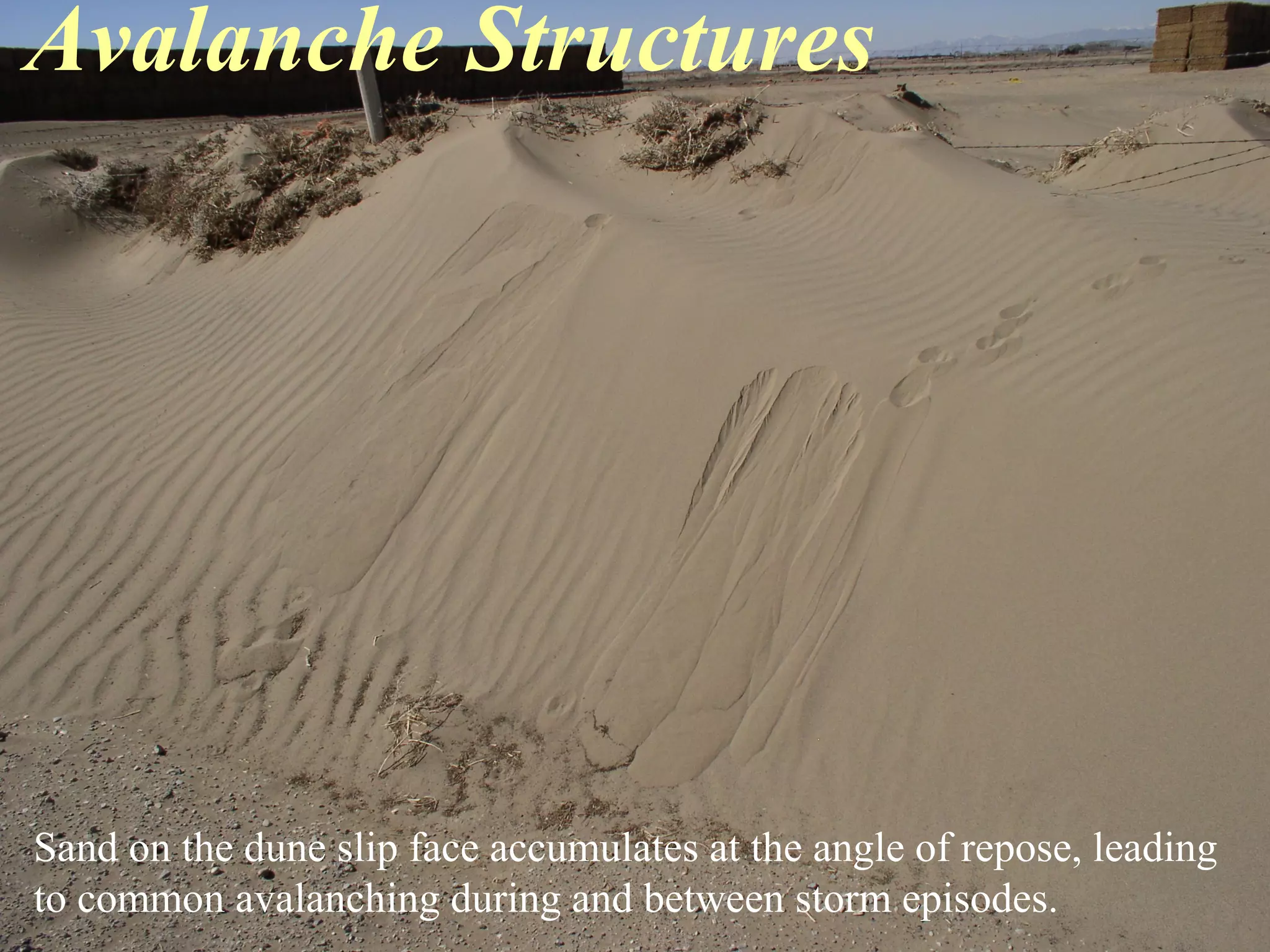 Avalanche Structures
Sand on the dune slip face accumulates at the angle of repose, leading
to common avalanching during and between storm episodes.
 