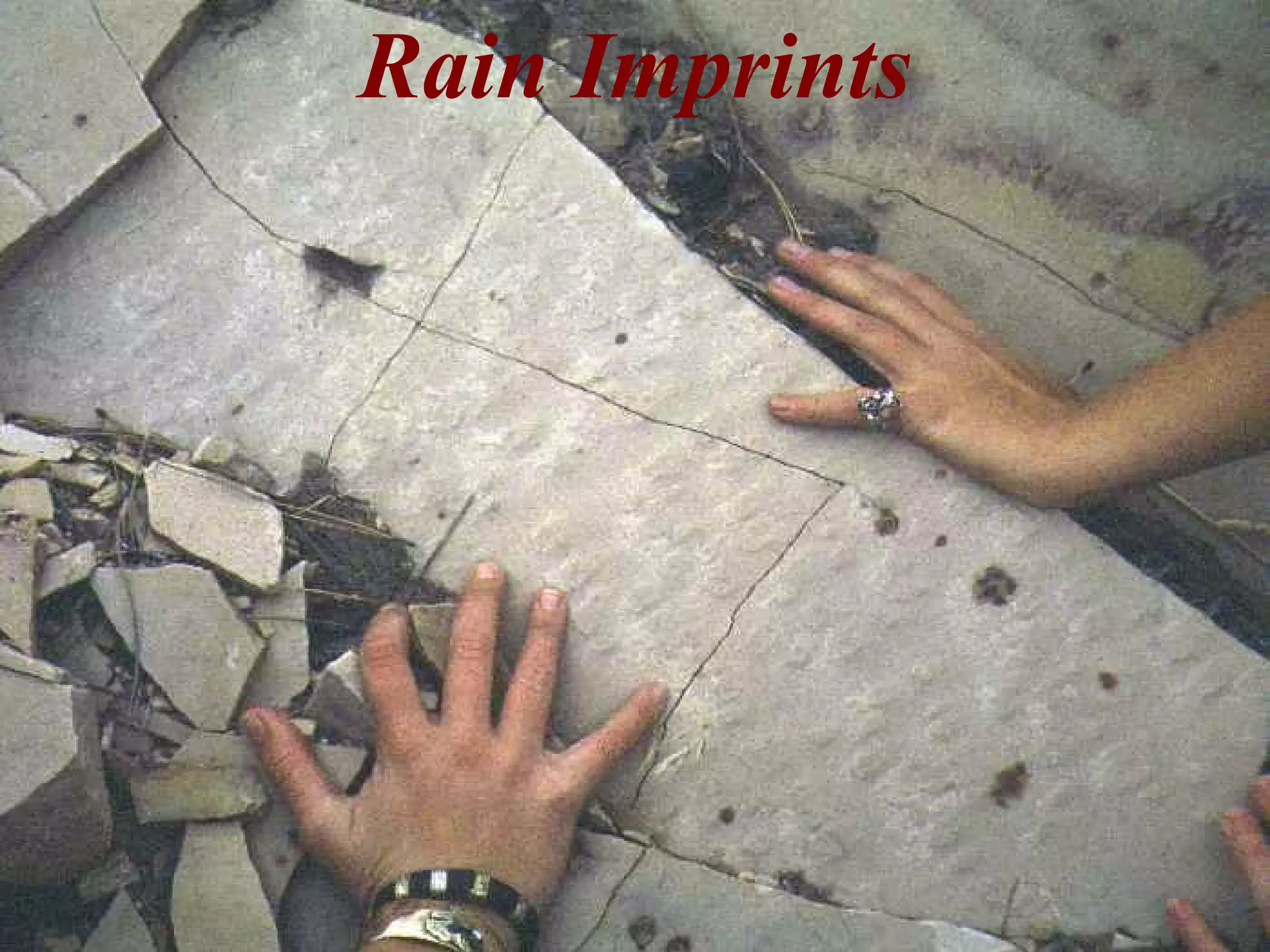 Rain Imprints
 
