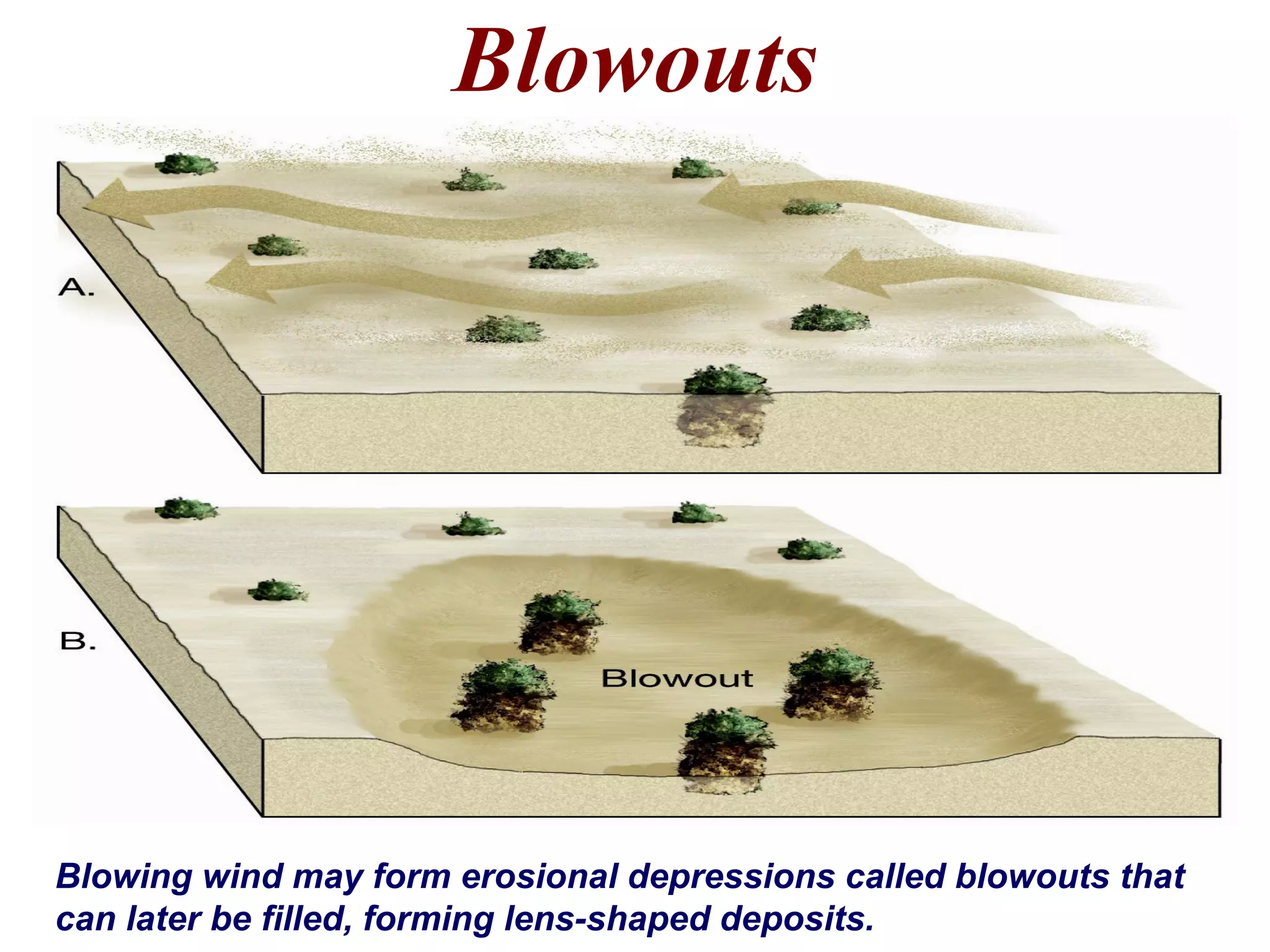 Blowouts
Blowing wind may form erosional depressions called blowouts that
can later be filled, forming lens-shaped deposits.
 