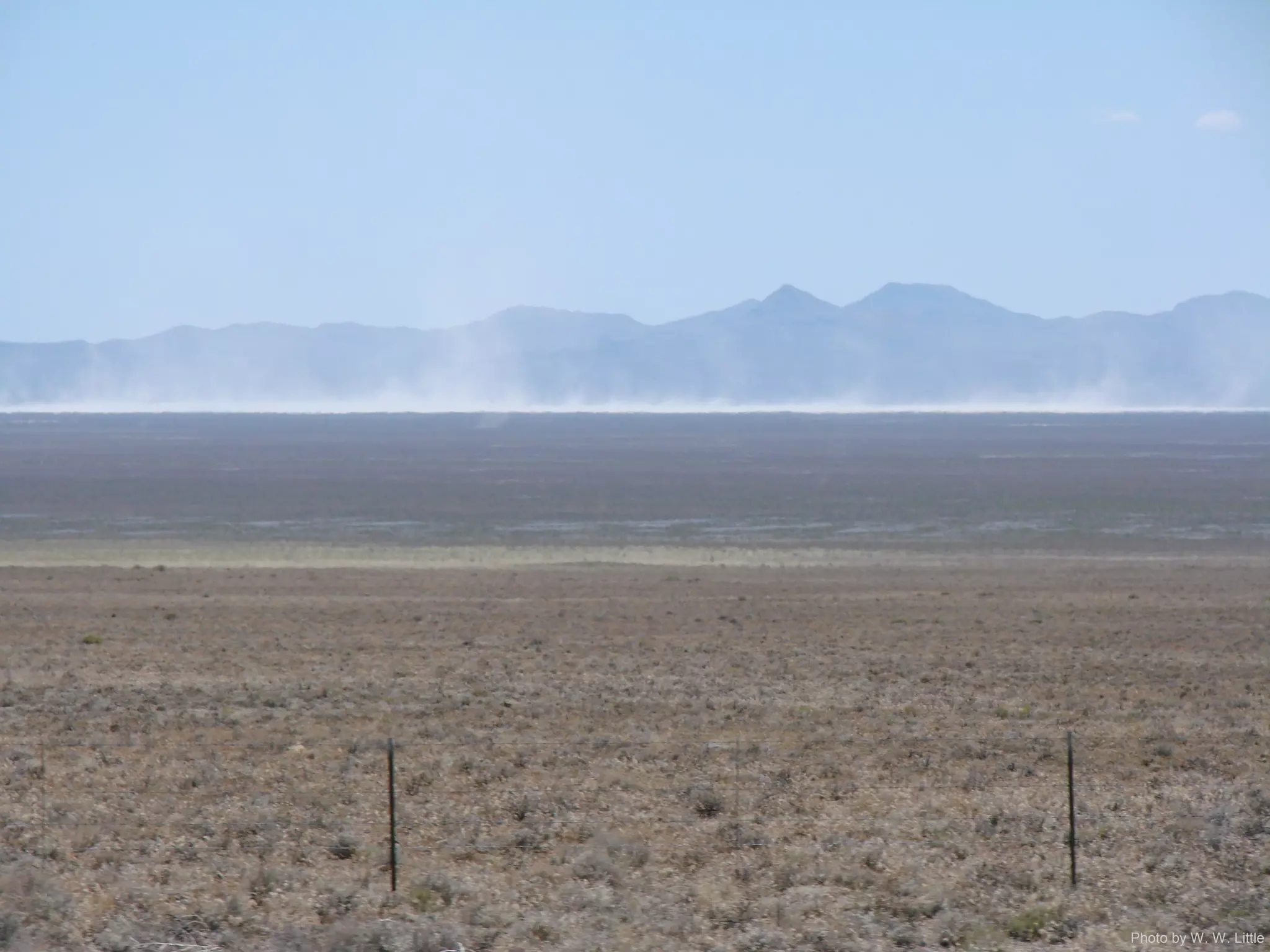 Photo by W. W. Little
 