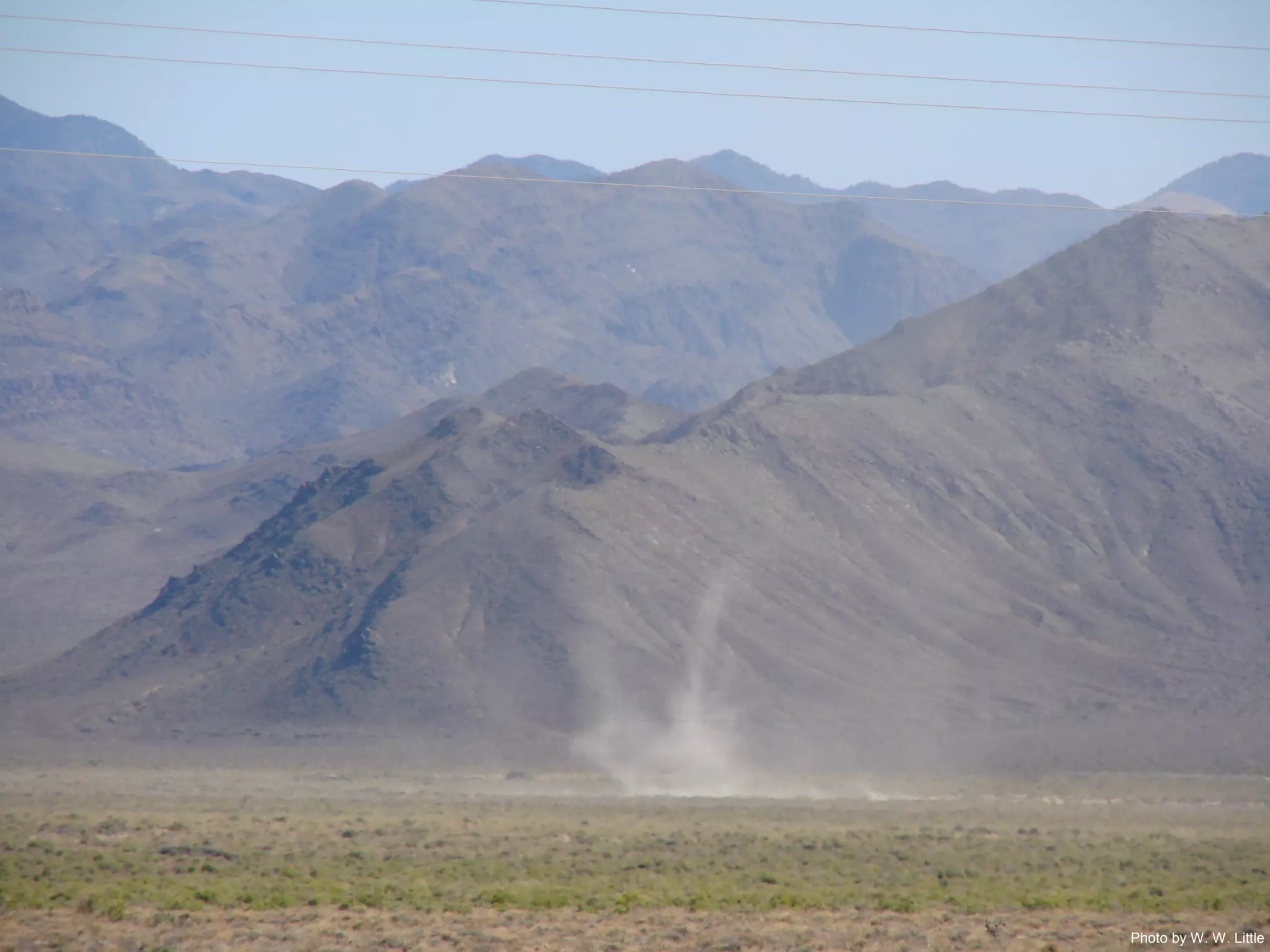 Photo by W. W. Little
 