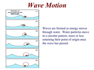 Wave Motion
Waves are formed as energy moves
through water. Water particles move
in a circular pattern, more or less
returning their point of origin once
the wave has passed.