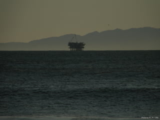 Photo by W. W. Little
 