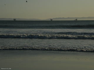 Photo by W. W. Little