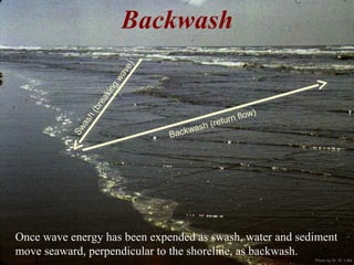 Photo by W. W. Little
Swash
(breaking
wave)
Backwash (return flow)
Backwash
Once wave energy has been expended as swash, water and sediment
move seaward, perpendicular to the shoreline, as backwash.