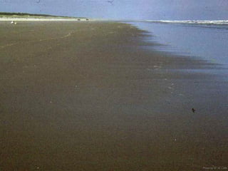 Photo by W. W. Little