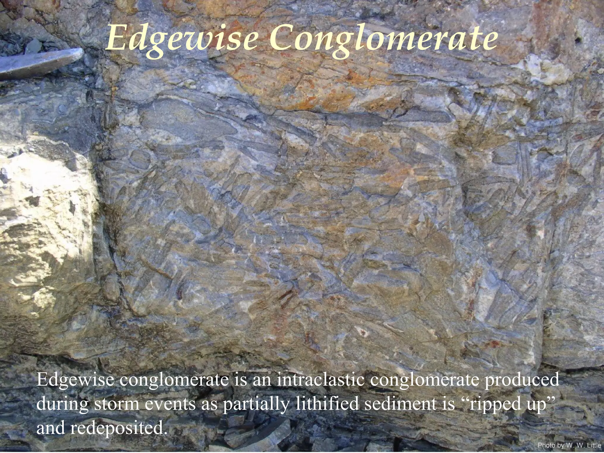 Photo by W. W. Little
Edgewise Conglomerate
Edgewise conglomerate is an intraclastic conglomerate produced
during storm events as partially lithified sediment is “ripped up”
and redeposited.
 