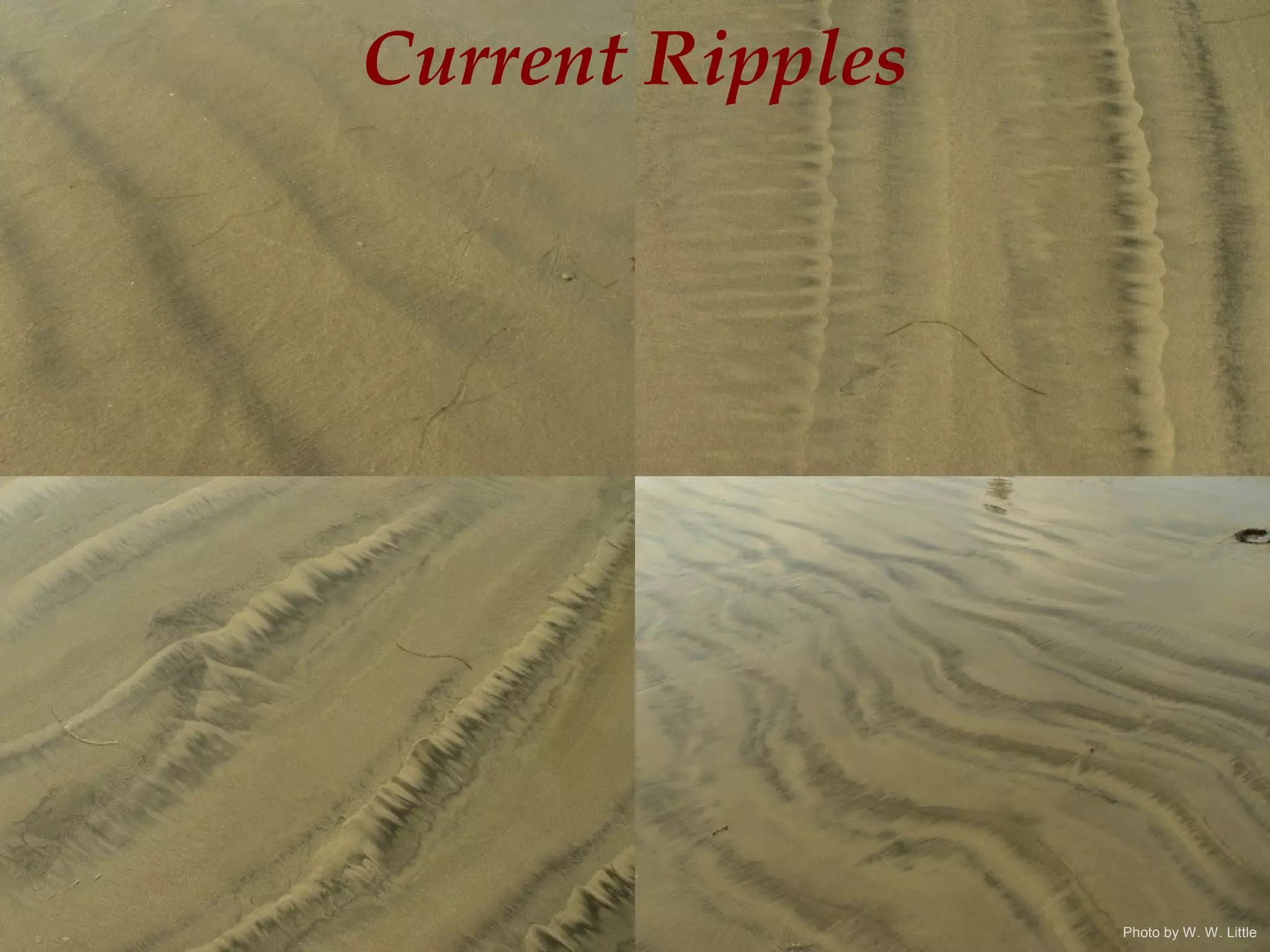 Current Ripples
Photo by W. W. Little
 