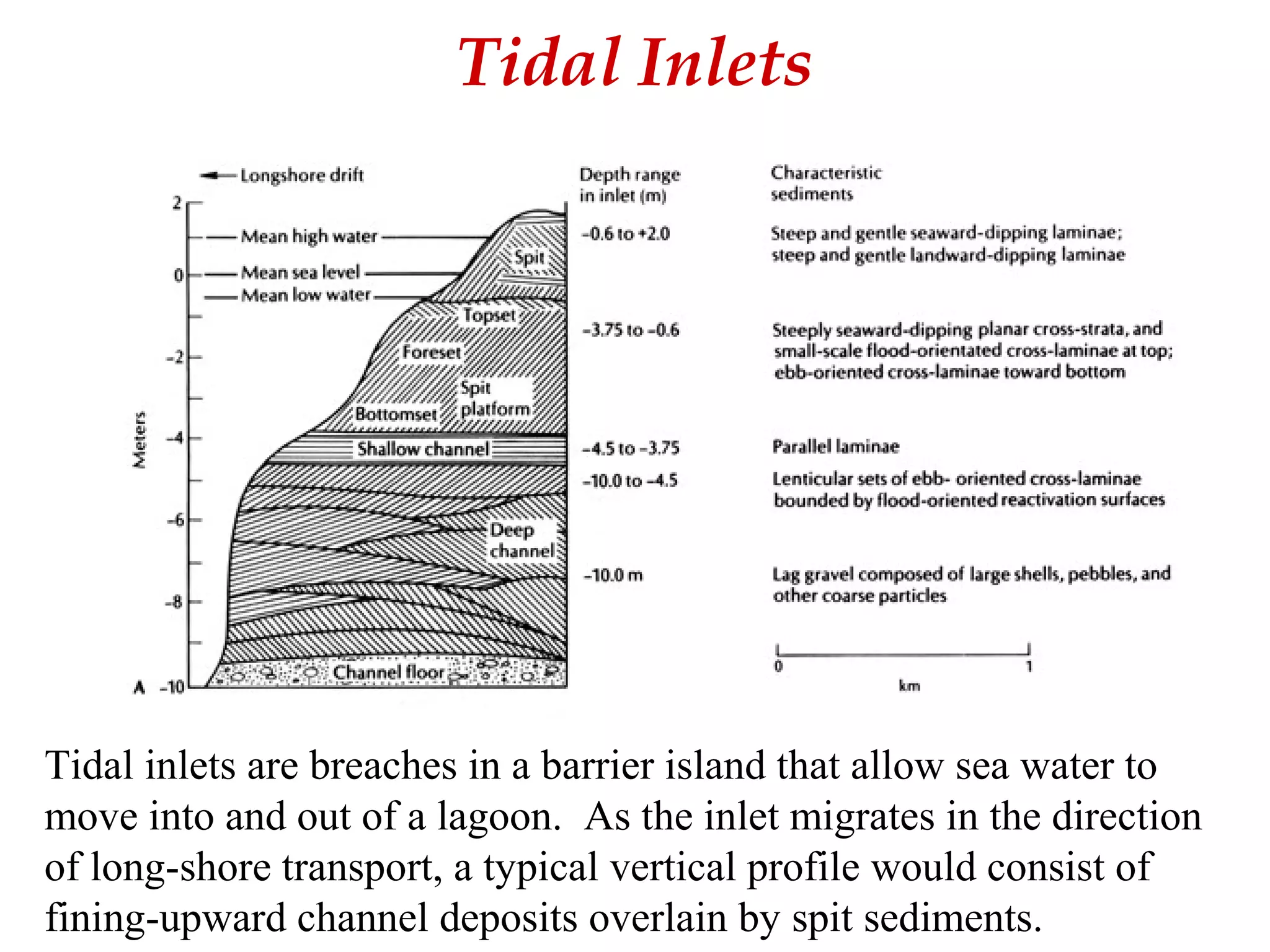 Tidal Inlets
Tidal inlets are breaches in a barrier island that allow sea water to
move into and out of a lagoon. As the inlet migrates in the direction
of long-shore transport, a typical vertical profile would consist of
fining-upward channel deposits overlain by spit sediments.
 