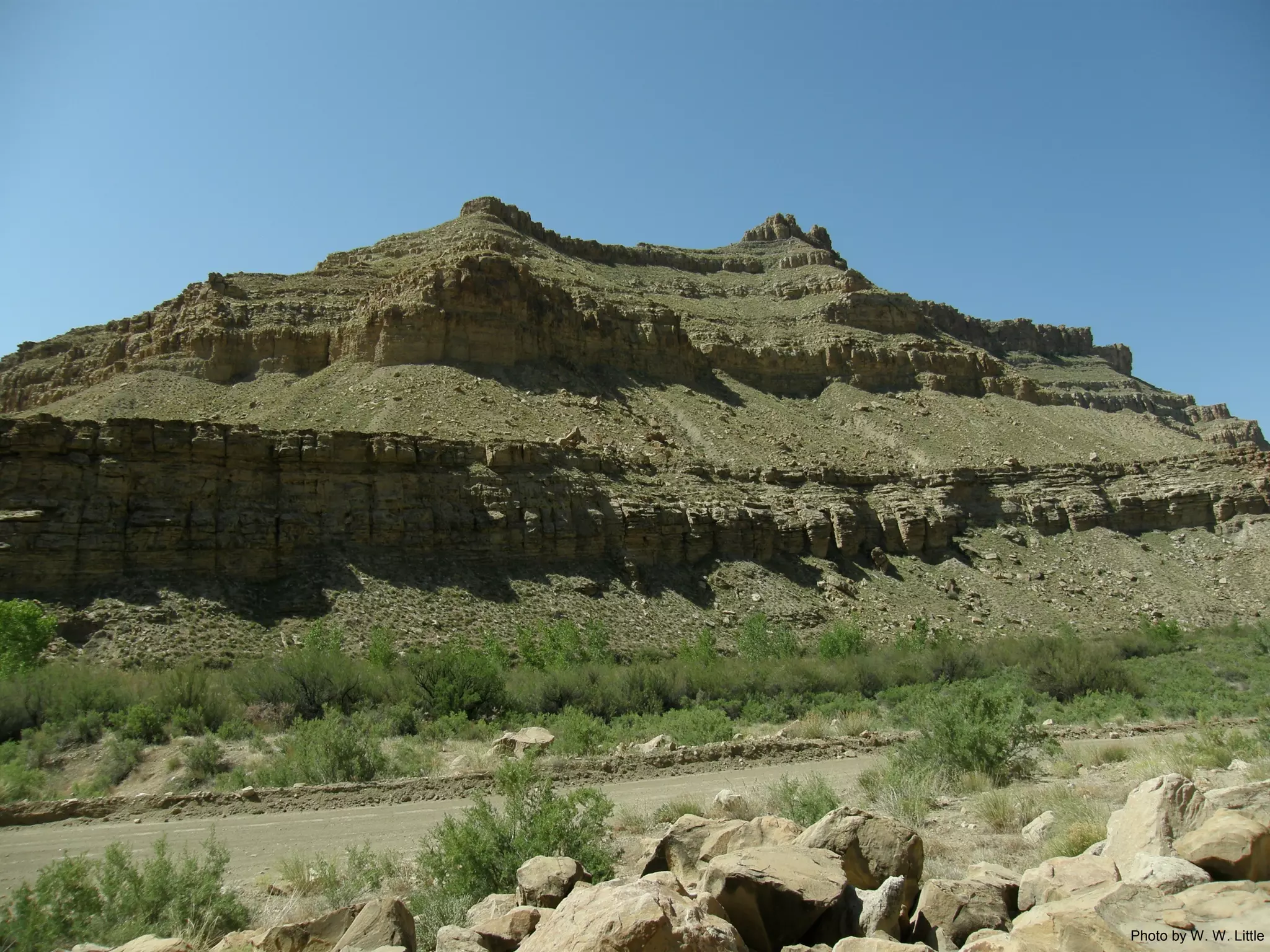 Photo by W. W. Little
 