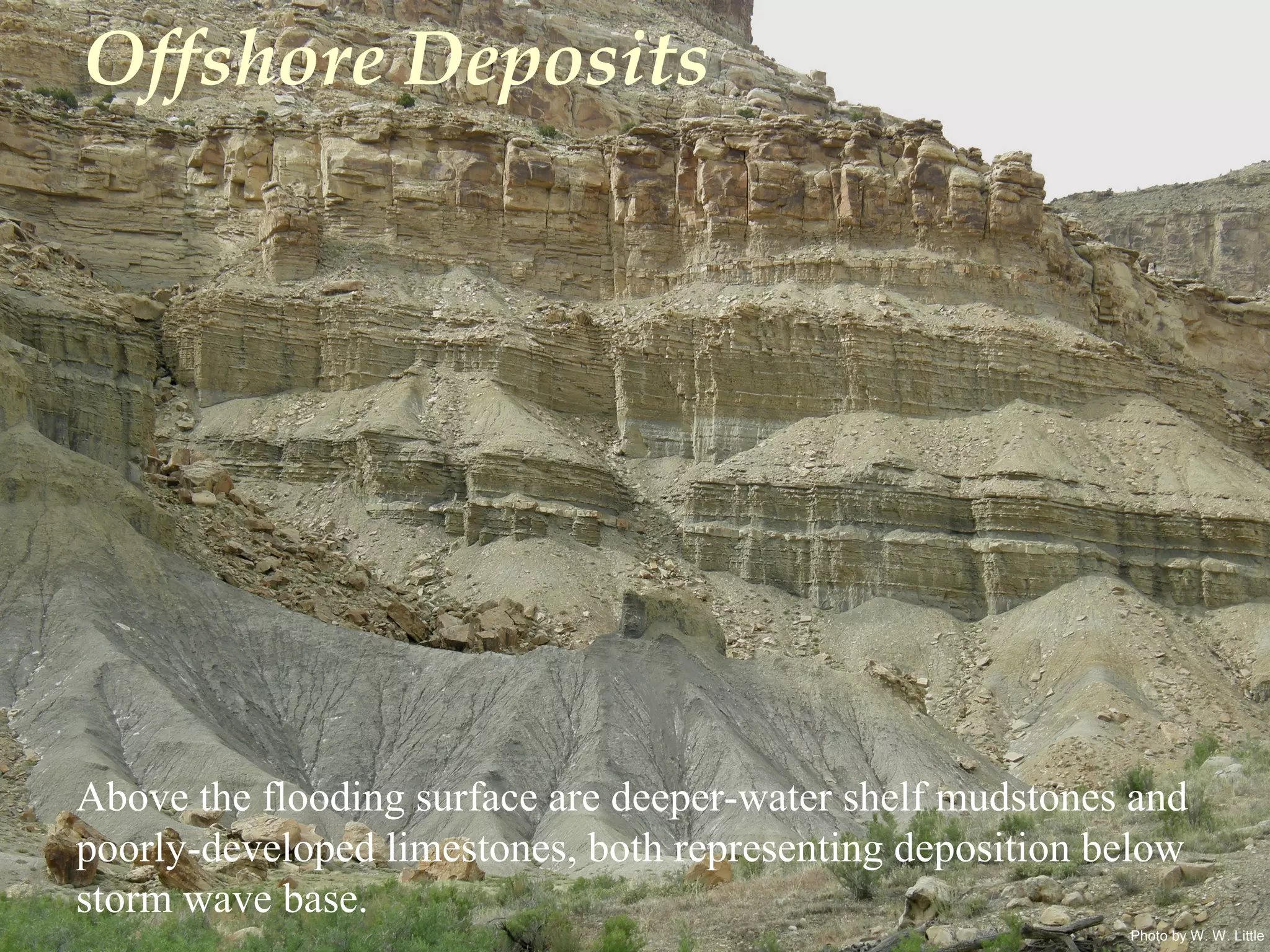 Photo by W. W. Little
Offshore Deposits
Above the flooding surface are deeper-water shelf mudstones and
poorly-developed limestones, both representing deposition below
storm wave base.
 