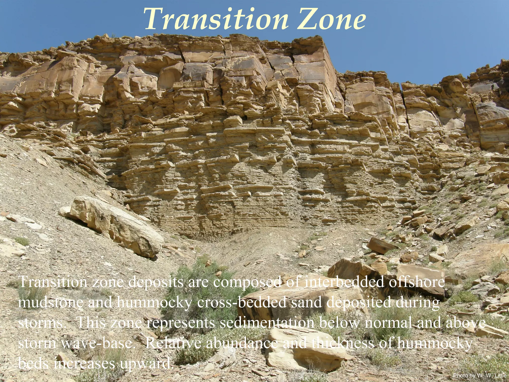 Photo by W. W. Little
Transition Zone
Transition zone deposits are composed of interbedded offshore
mudstone and hummocky cross-bedded sand deposited during
storms. This zone represents sedimentation below normal and above
storm wave-base. Relative abundance and thickness of hummocky
beds increases upward.
 