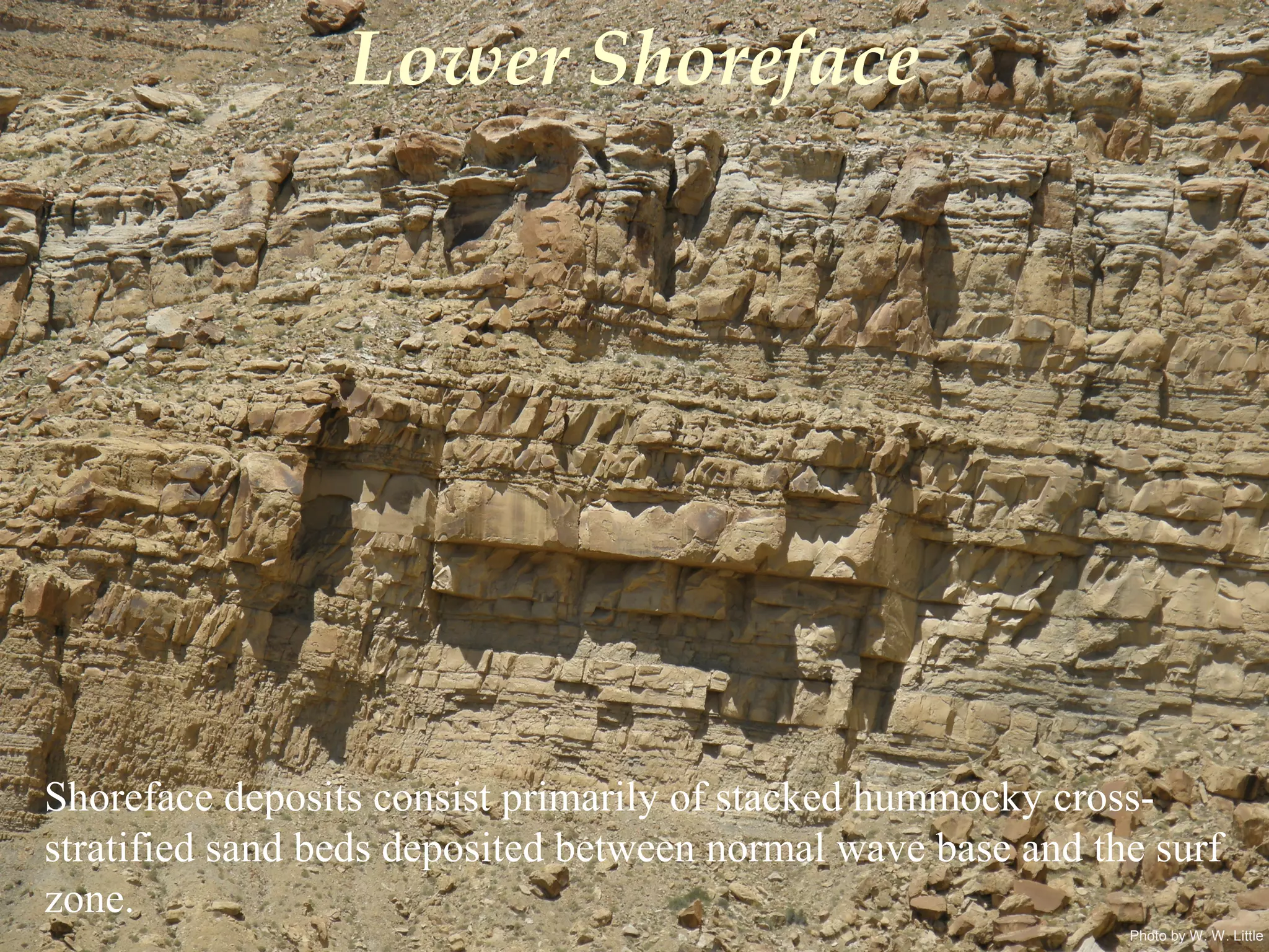 Photo by W. W. Little
Lower Shoreface
Shoreface deposits consist primarily of stacked hummocky cross-
stratified sand beds deposited between normal wave base and the surf
zone.
 