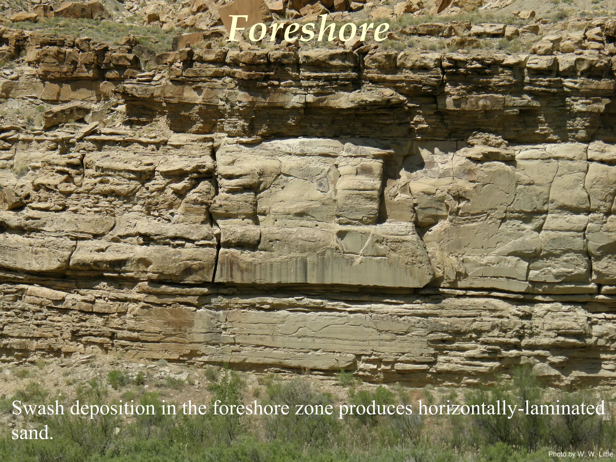 Photo by W. W. Little
Foreshore
Swash deposition in the foreshore zone produces horizontally-laminated
sand.
 