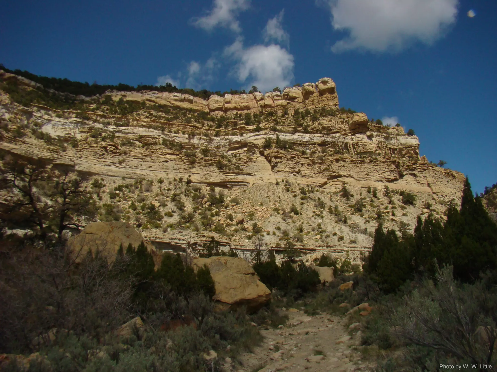 Photo by W. W. Little
 