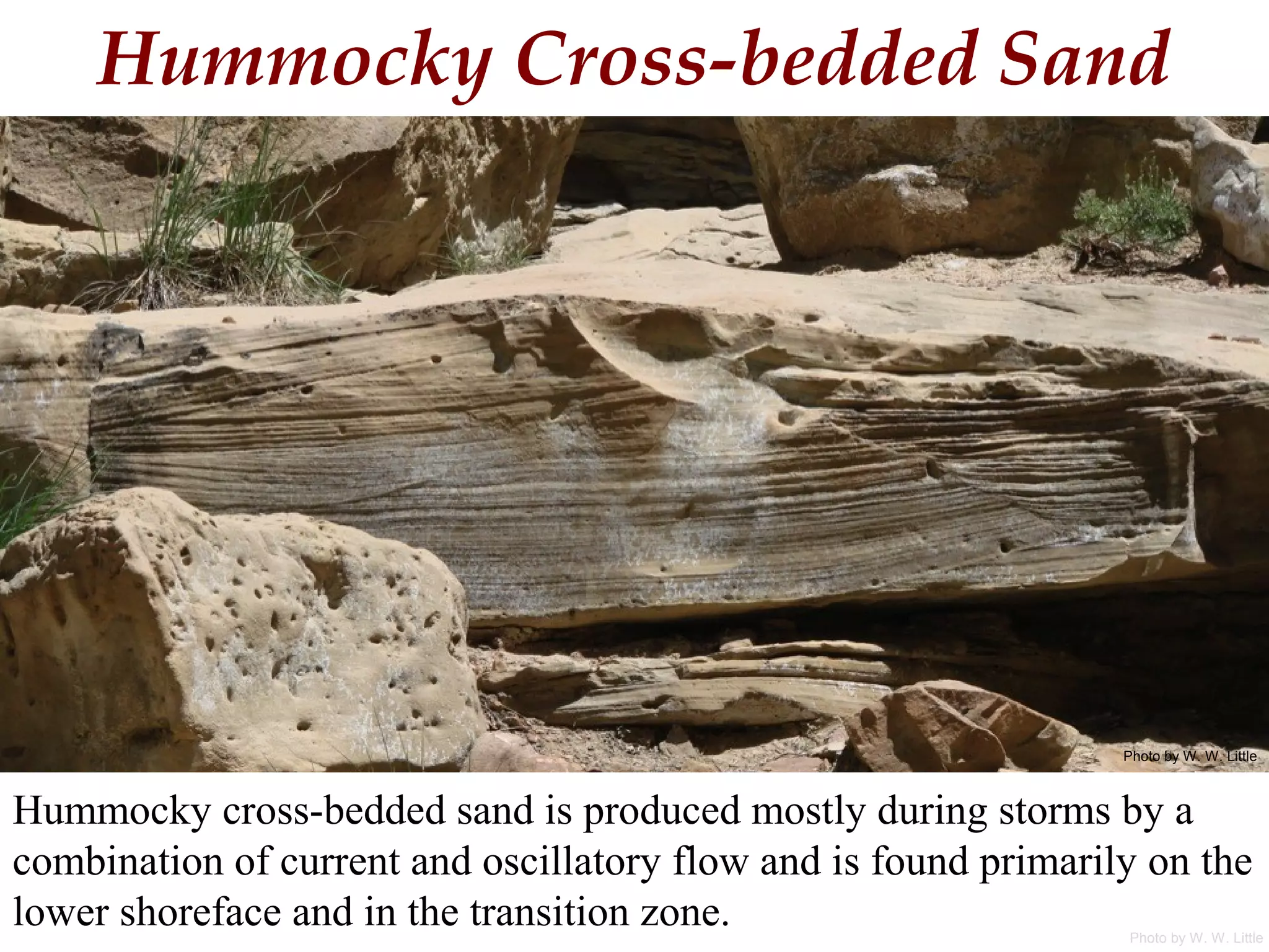 Hummocky Cross-bedded Sand
Hummocky cross-bedded sand is produced mostly during storms by a
combination of current and oscillatory flow and is found primarily on the
lower shoreface and in the transition zone. Photo by W. W. Little
Photo by W. W. Little
 