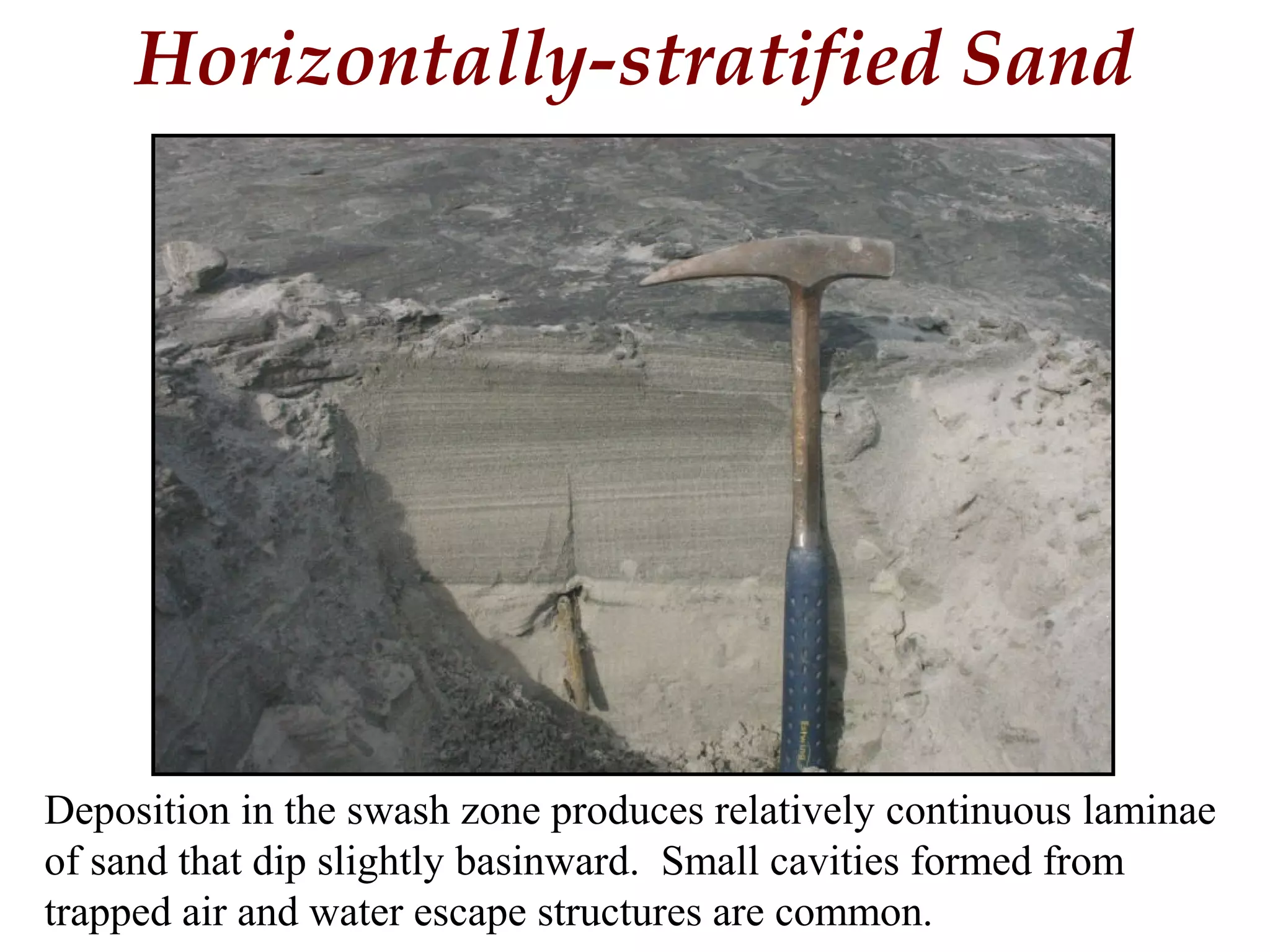 Horizontally-stratified Sand
Deposition in the swash zone produces relatively continuous laminae
of sand that dip slightly basinward. Small cavities formed from
trapped air and water escape structures are common.
 