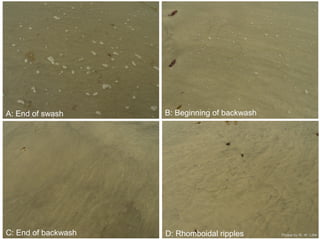 Beach and Barrier Systems | PPT