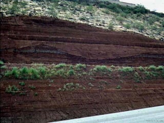 Photo by W. W. Little
 