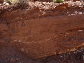 Photo by W. W. Little
 