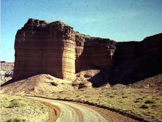 Photo by W. W. Little
 