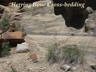 Photo by W. W. Little
Herring Bone Cross-bedding
 