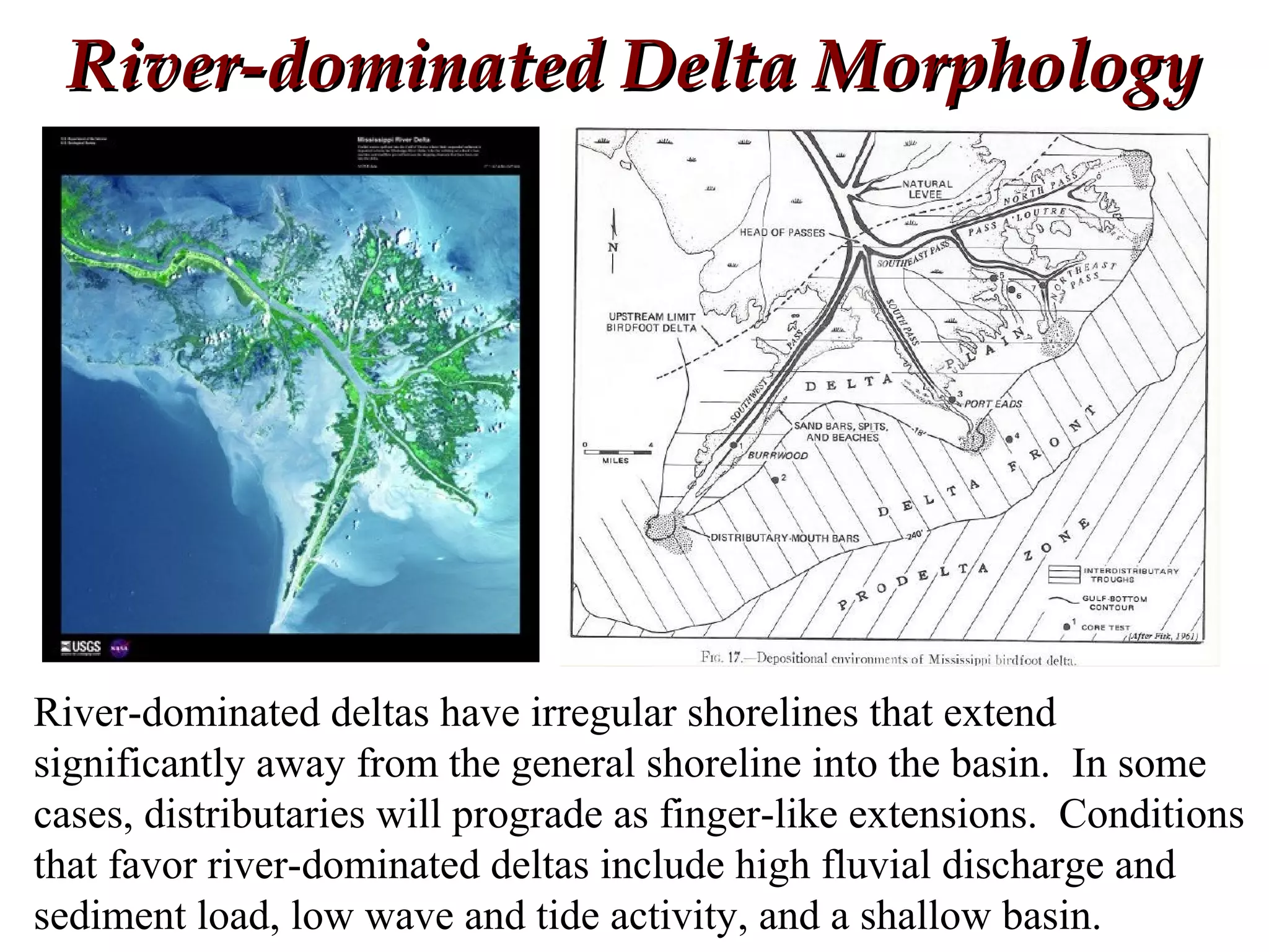 River-dominated Delta MorphologyRiver-dominated Delta Morphology
River-dominated deltas have irregular shorelines that extend
significantly away from the general shoreline into the basin. In some
cases, distributaries will prograde as finger-like extensions. Conditions
that favor river-dominated deltas include high fluvial discharge and
sediment load, low wave and tide activity, and a shallow basin.
 