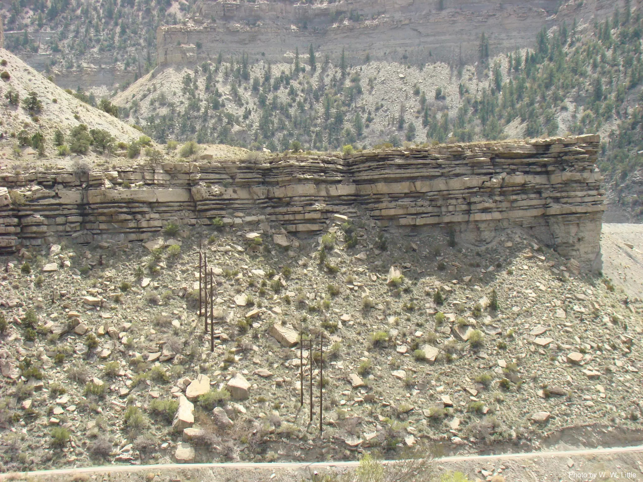 Photo by W. W. Little
 