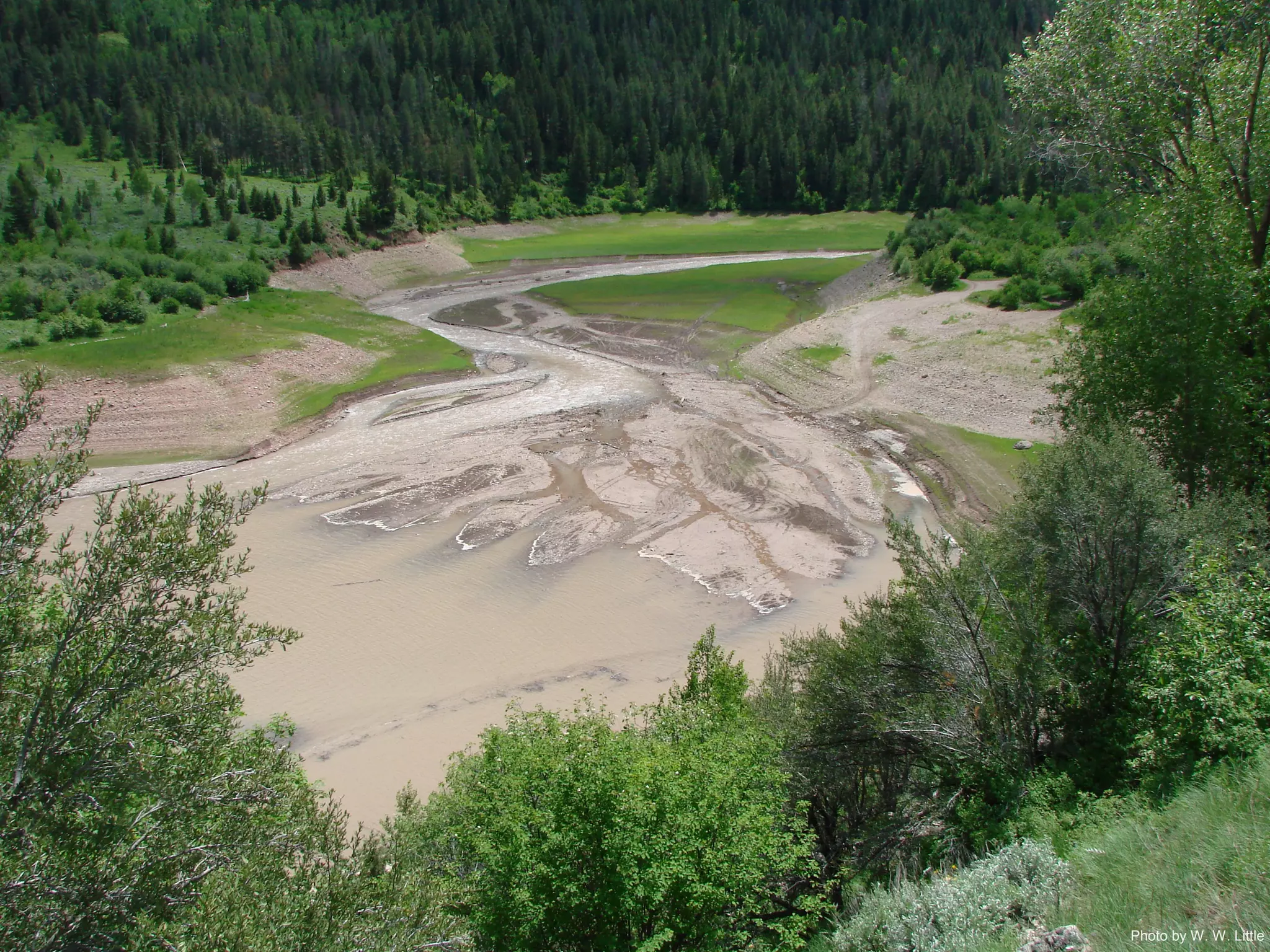 Photo by W. W. Little
 