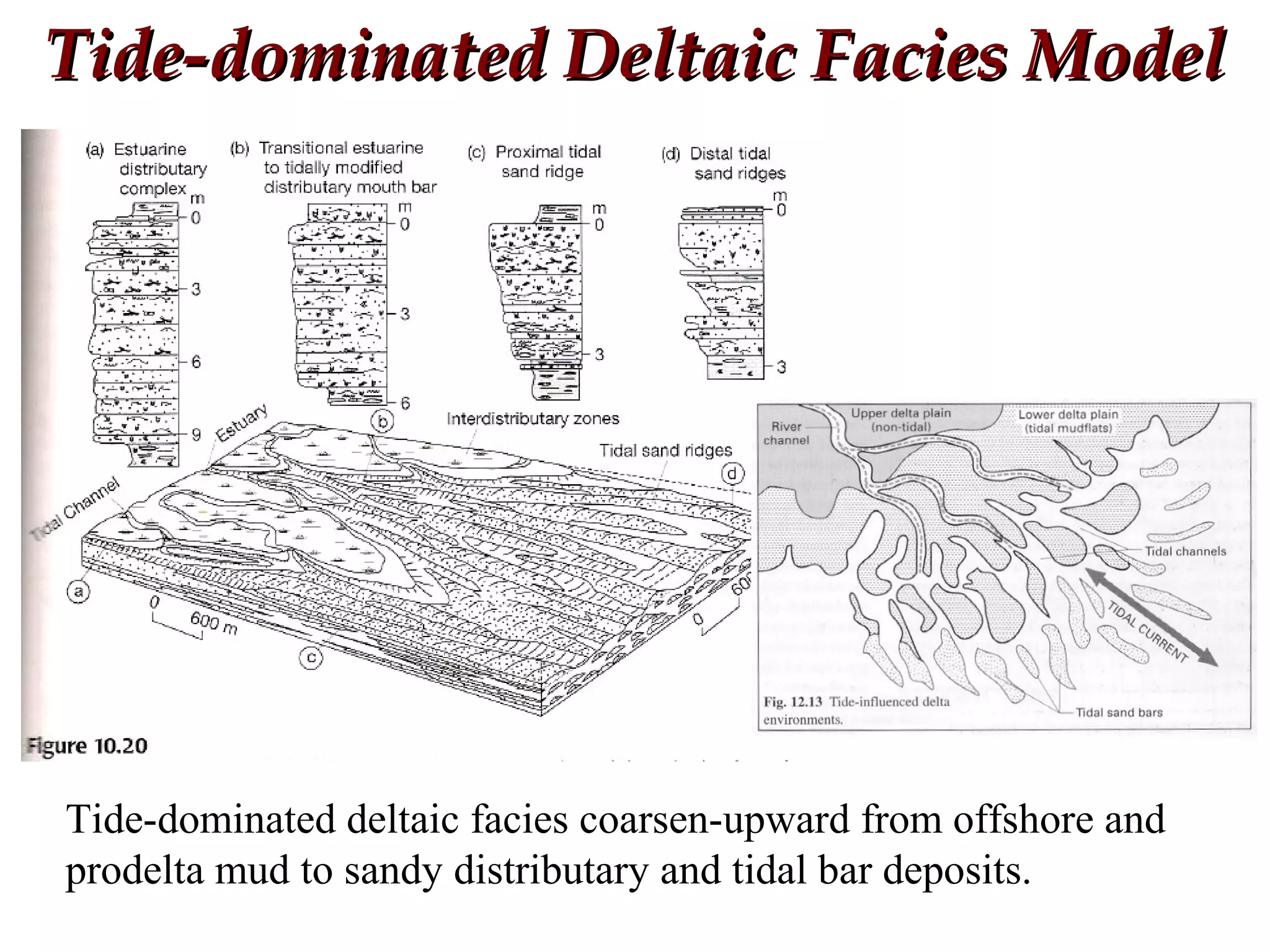 Tide-dominated Deltaic Facies ModelTide-dominated Deltaic Facies Model
Tide-dominated deltaic facies coarsen-upward from offshore and
prodelta mud to sandy distributary and tidal bar deposits.
 