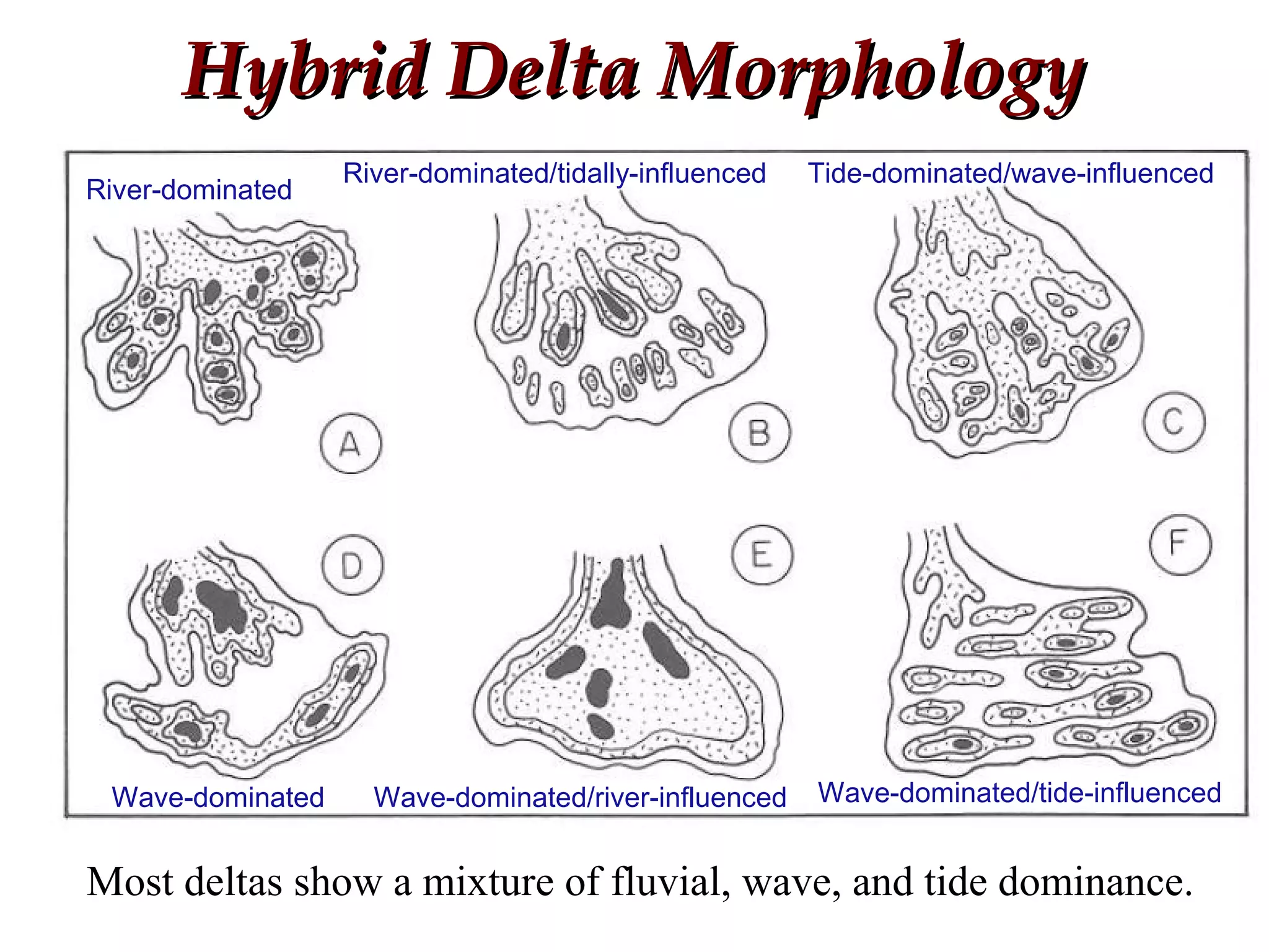 River-dominated
River-dominated/tidally-influenced Tide-dominated/wave-influenced
Wave-dominated Wave-dominated/river-influenced Wave-dominated/tide-influenced
Hybrid Delta MorphologyHybrid Delta Morphology
Most deltas show a mixture of fluvial, wave, and tide dominance.
 