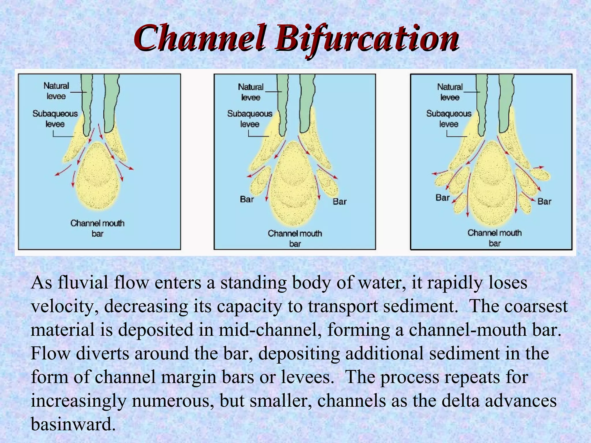 Channel BifurcationChannel Bifurcation
As fluvial flow enters a standing body of water, it rapidly loses
velocity, decreasing its capacity to transport sediment. The coarsest
material is deposited in mid-channel, forming a channel-mouth bar.
Flow diverts around the bar, depositing additional sediment in the
form of channel margin bars or levees. The process repeats for
increasingly numerous, but smaller, channels as the delta advances
basinward.
 