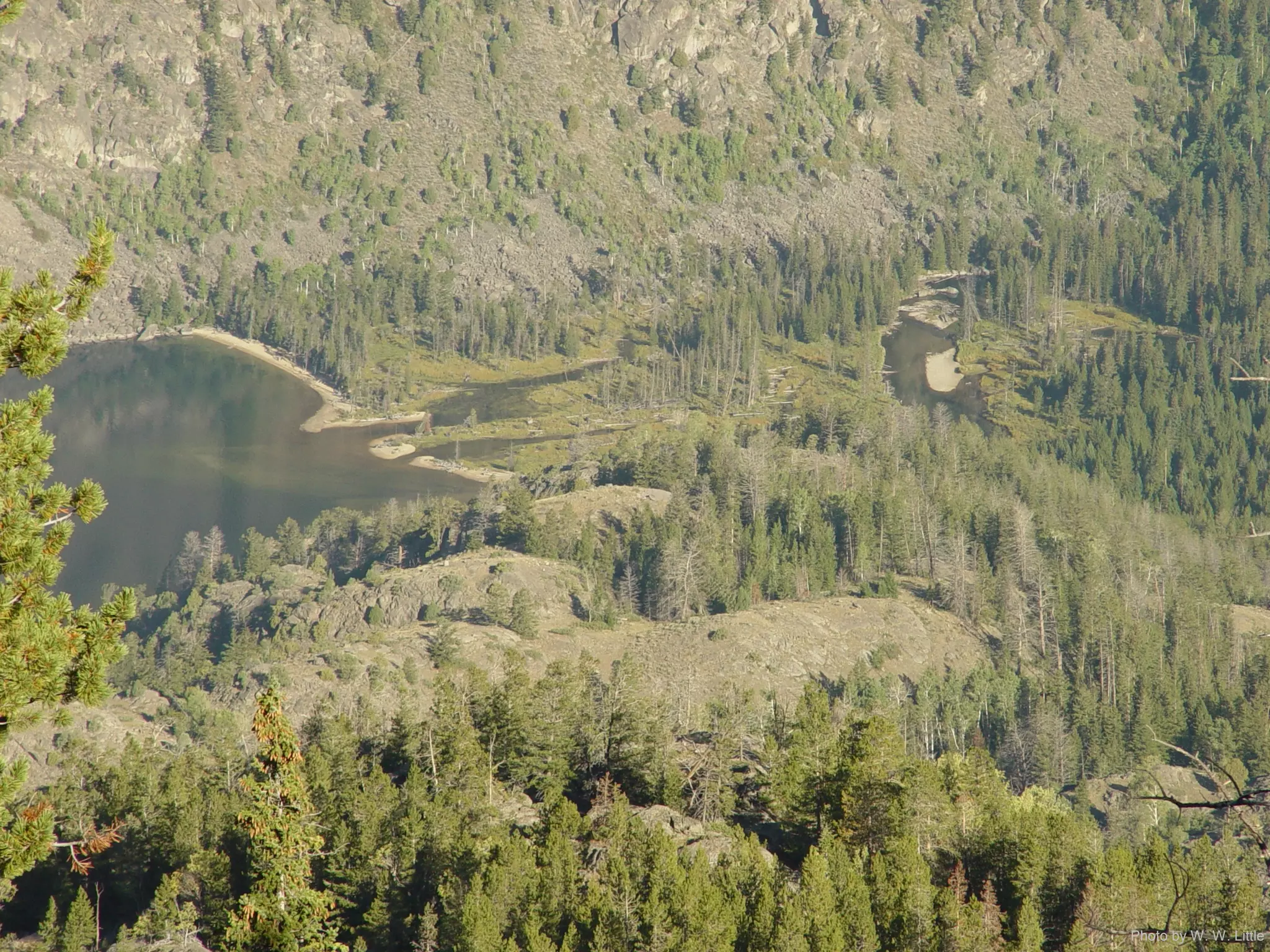 Photo by W. W. Little
 