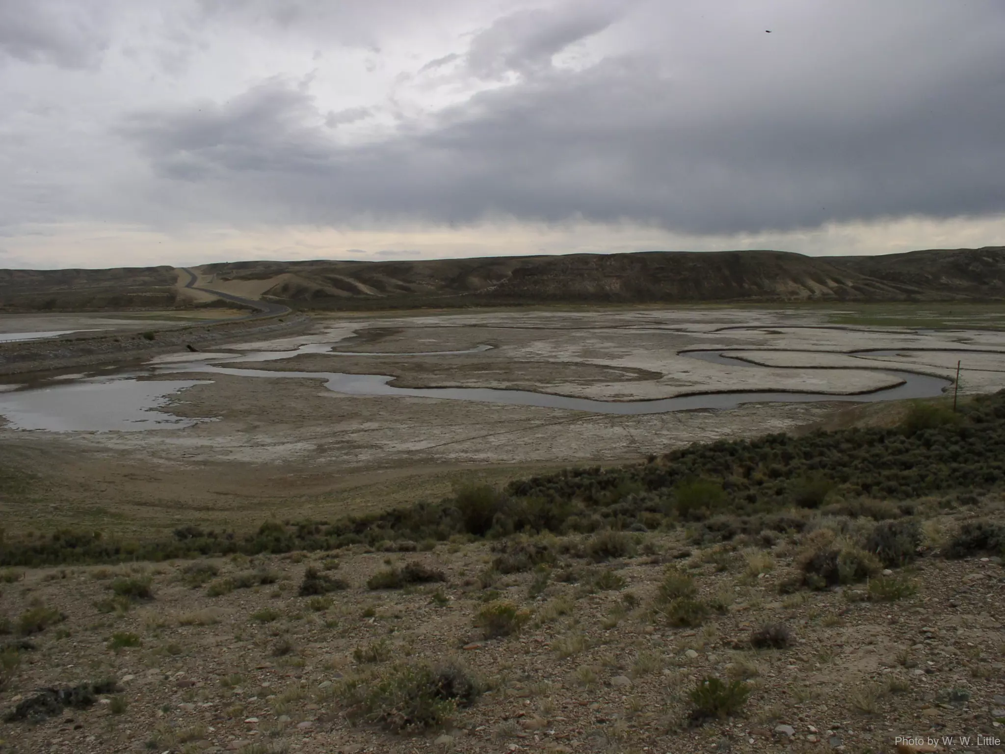 Photo by W. W. Little
 