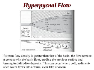 Hyperpycnal FlowHyperpycnal Flow
If stream flow density is greater than that of the basin, the flow remains
in contact with the basin floor, eroding the previous surface and
forming turbidite-like deposits. This can occur where cold, sediment-
laden water flows into a warm, clear lake or ocean.
 
